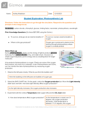 Limiting Reactants Gizmo Assignment Answer key - Name: Date: Student ...