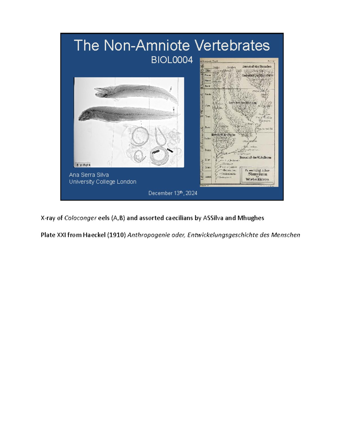 BIOL0004 Lecture: Non-Amniote Vertebrates Overview - Studocu