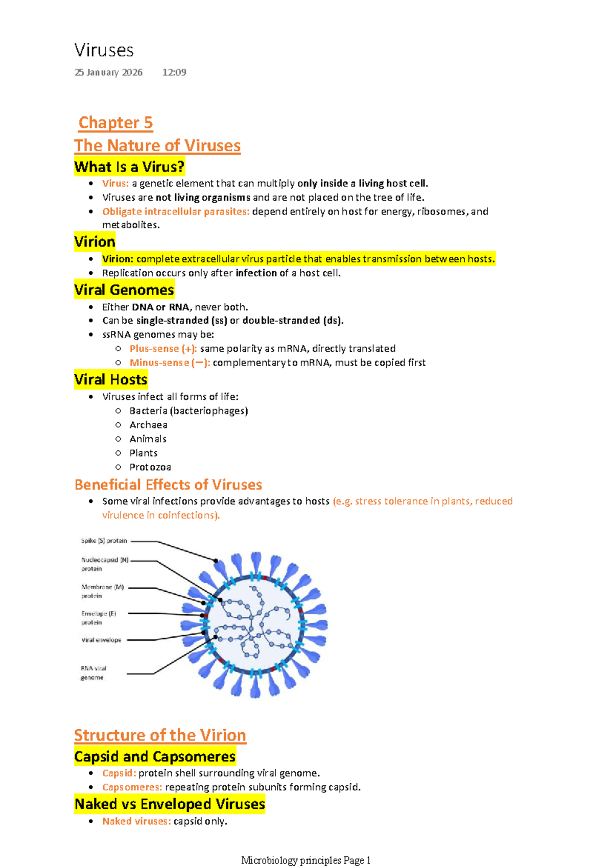 Microbiology 101: Chapter 5 - The Nature of Viruses Notes - Studocu