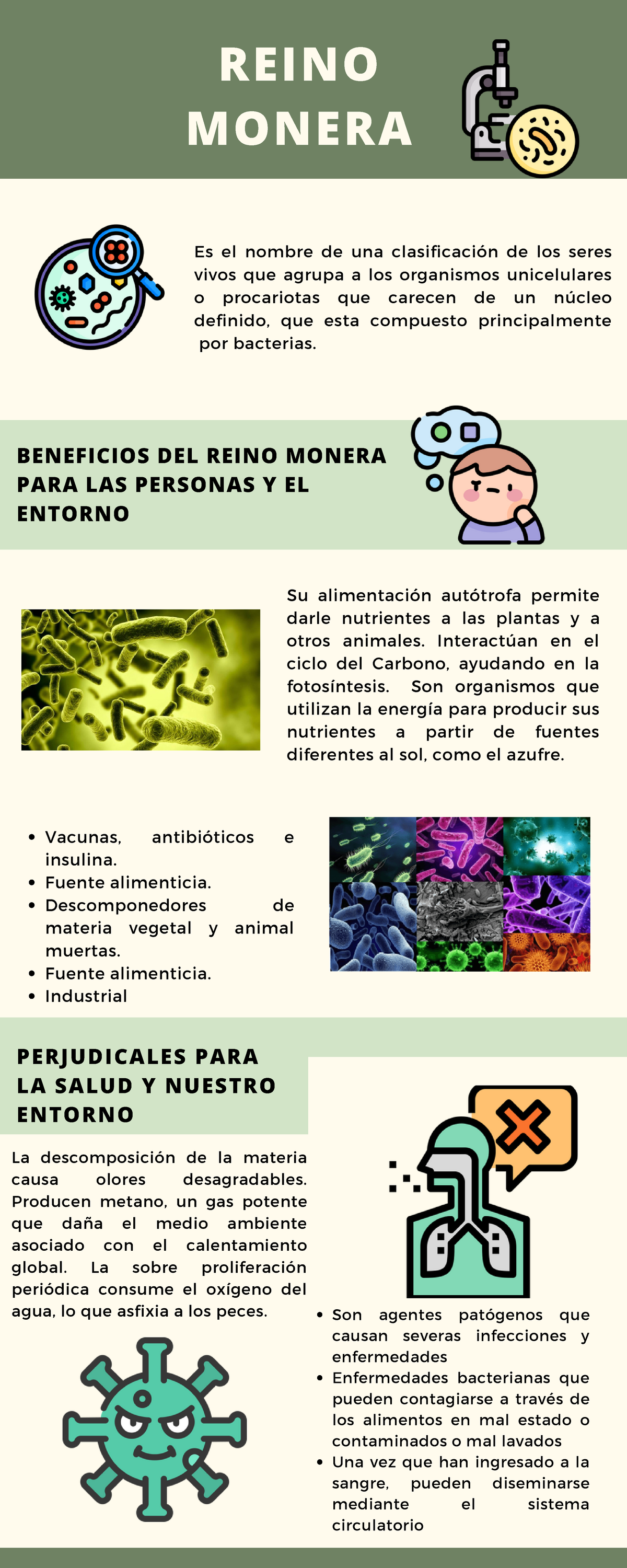 Infografía: Beneficios y Perjuicios de los Reinos Monera y Protista -  Studocu