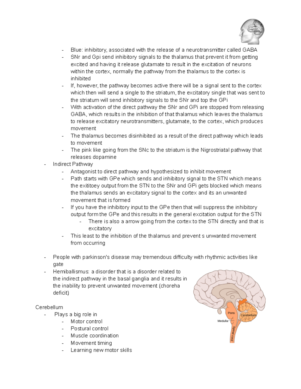 Kin 1080 Week 2 part 4 - class notes - Blue: inhibitory, associated ...
