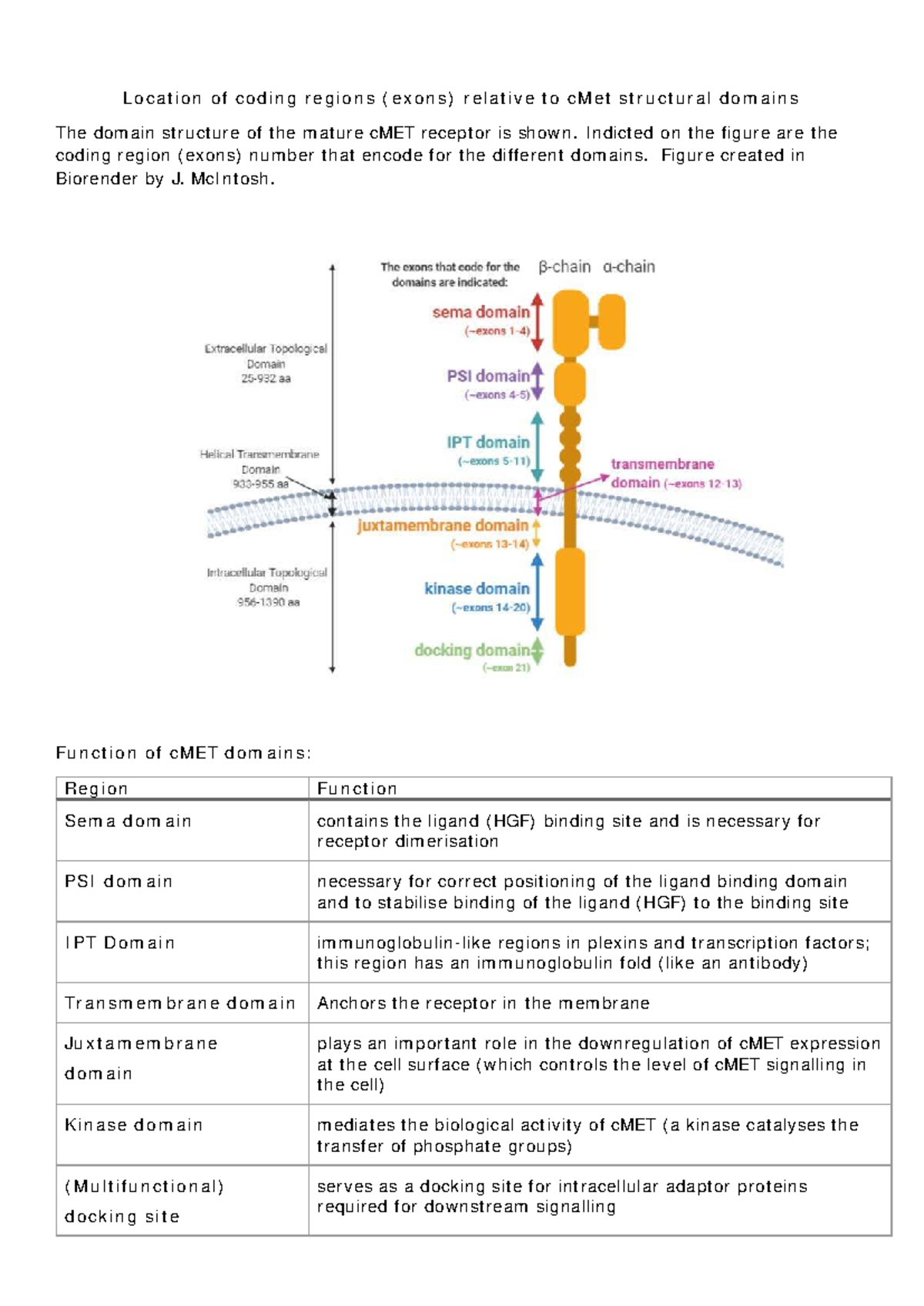 Location of coding regions relative to c Met structure - Location of ...