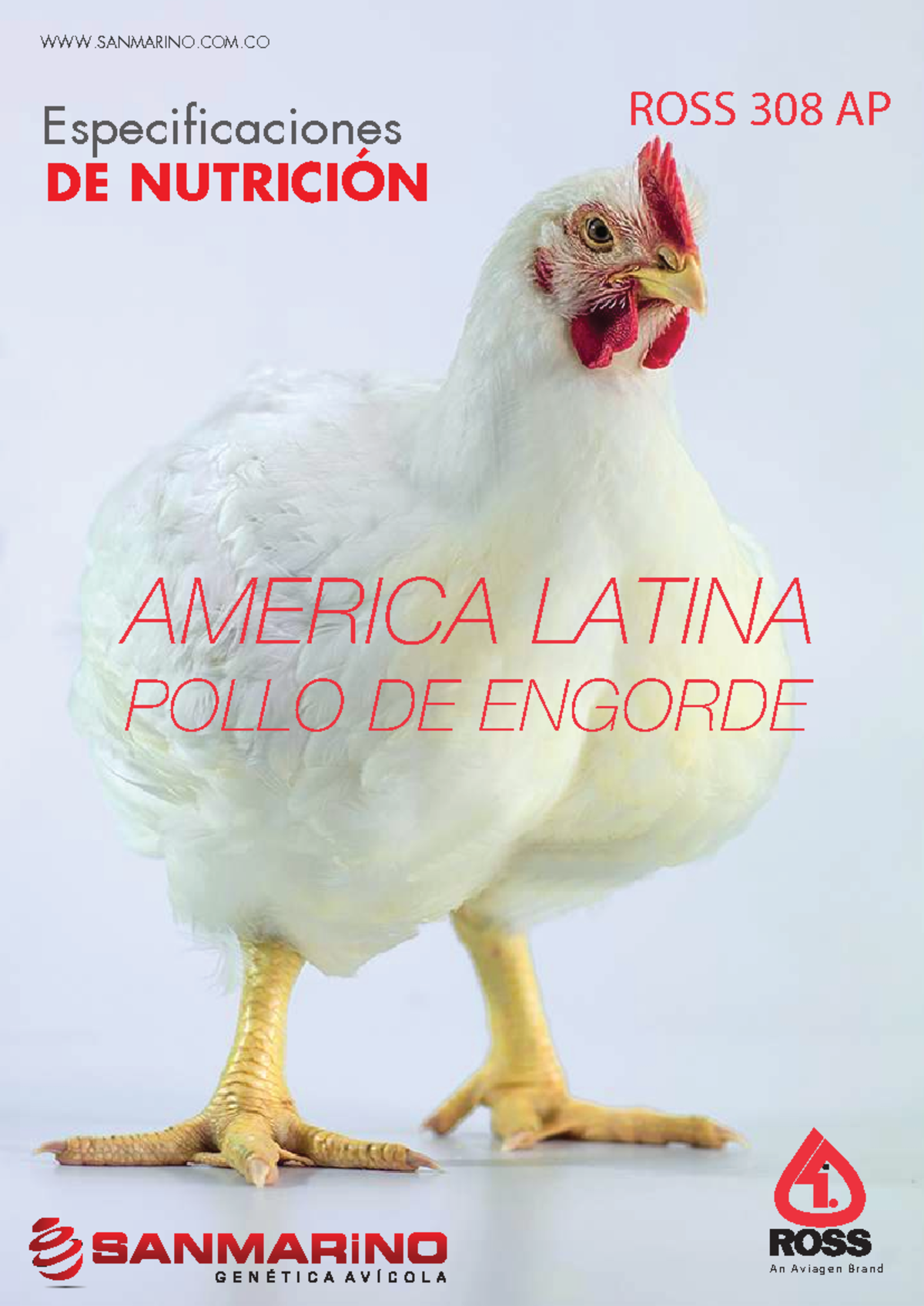 Especificaciones de Nutrición para Pollos de Engorde ROSS 308 AP - Studocu