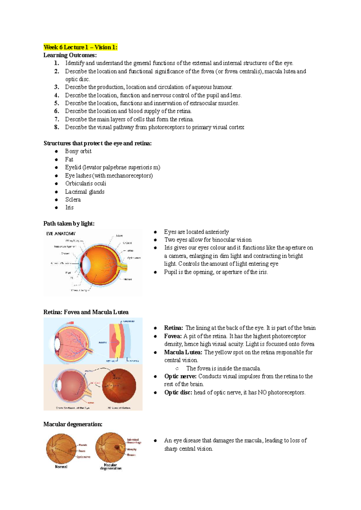 BIOS1171 Week 6 Lecture 1: Eye Structure & Function Overview - Studocu