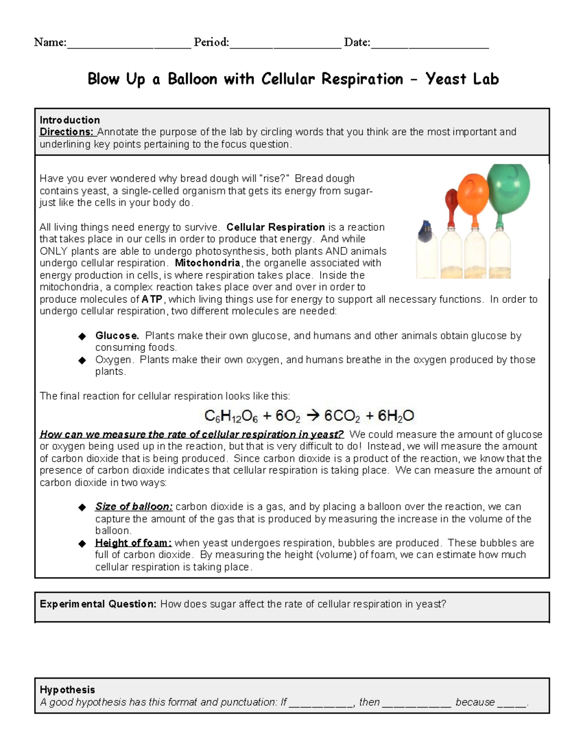 Cellular Respiration in Yeast Lab (Bio 101): Analyze Sugar Effects on ...