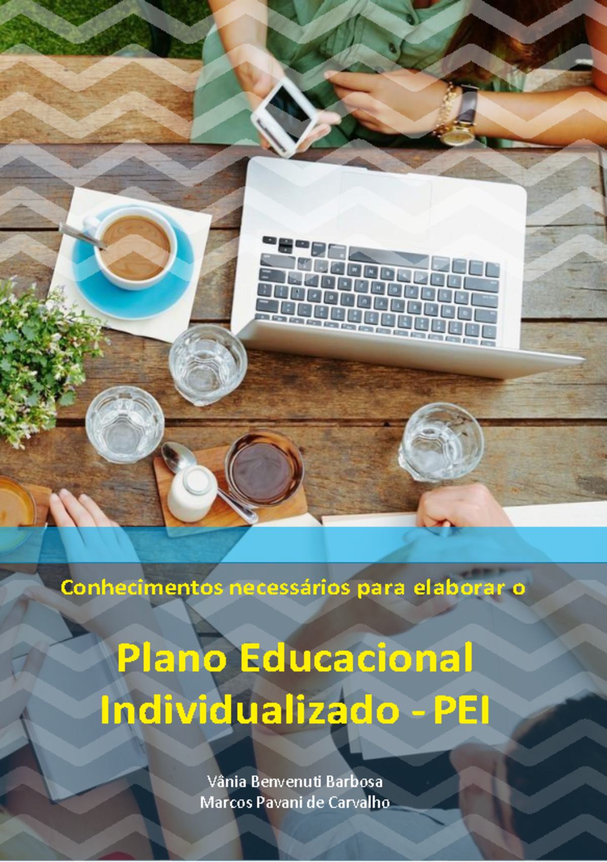 PEI - Guia Prático para Elaboração do Plano Educacional Individualizado ...