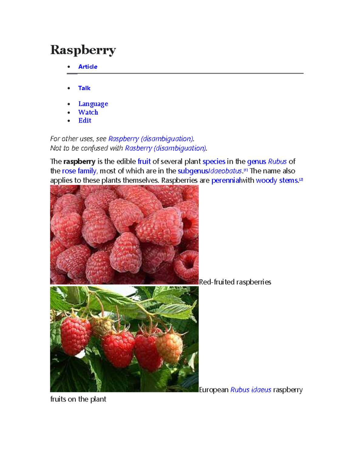 Raspberry Overview: Edible Fruits and Plant Species - Studocu