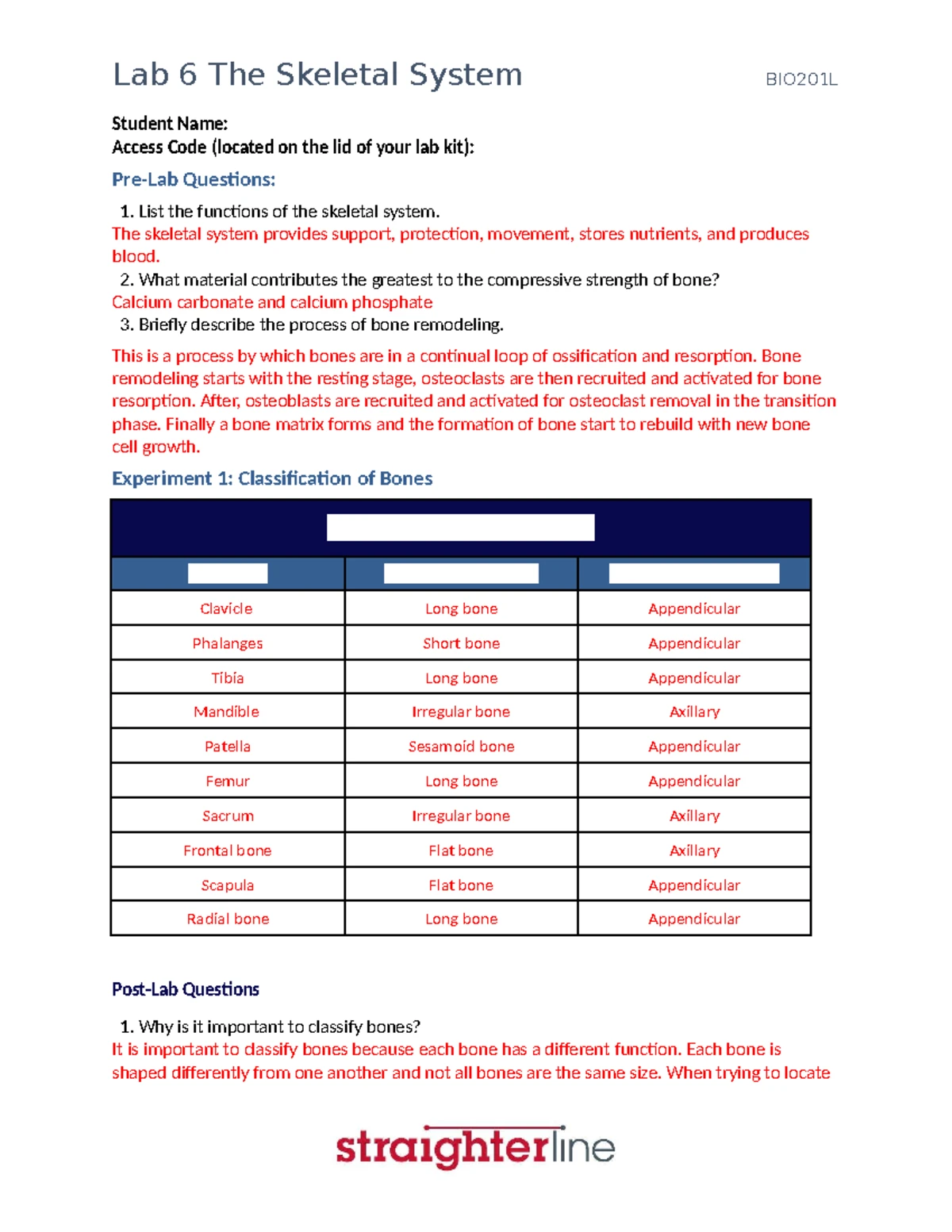 A P Lab 6 - The Skeletal System: Functions, Structures, and Experiments ...