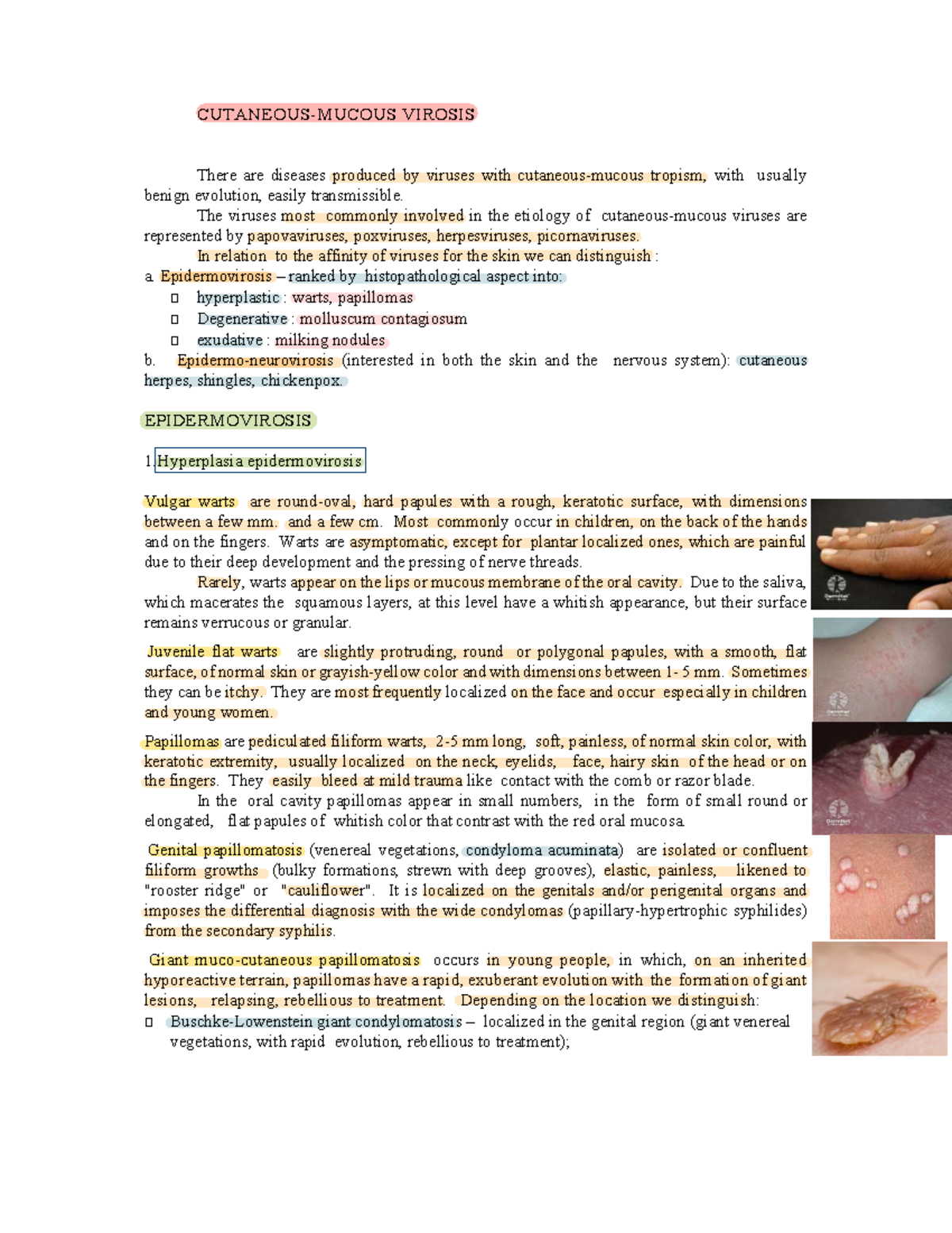 4. Muco-Cutaneous Virosis: Understanding Viral Skin Diseases - Studocu