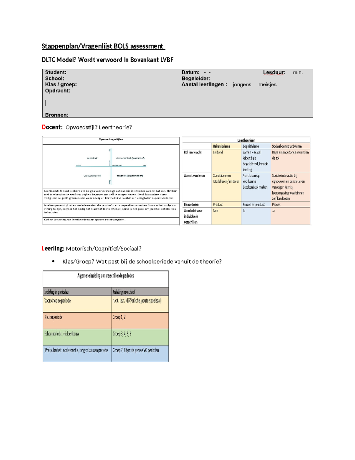 BOLS Assessment Handeling & Strategie - DLTC Model Guide - Studeersnel