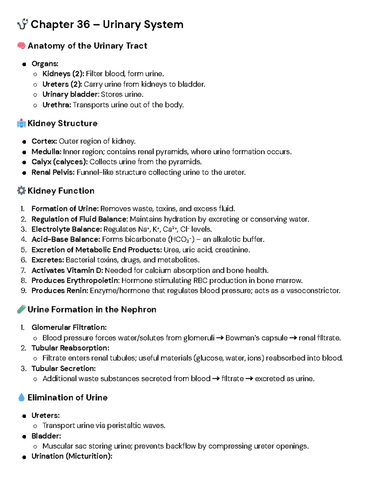 🩺 Med-Surg Chapter 36: Anatomy & Function of the Urinary System - Studocu