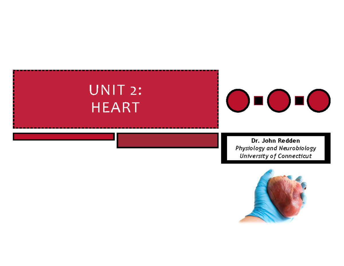 UNIT 2: Heart Anatomy and Function - Studocu