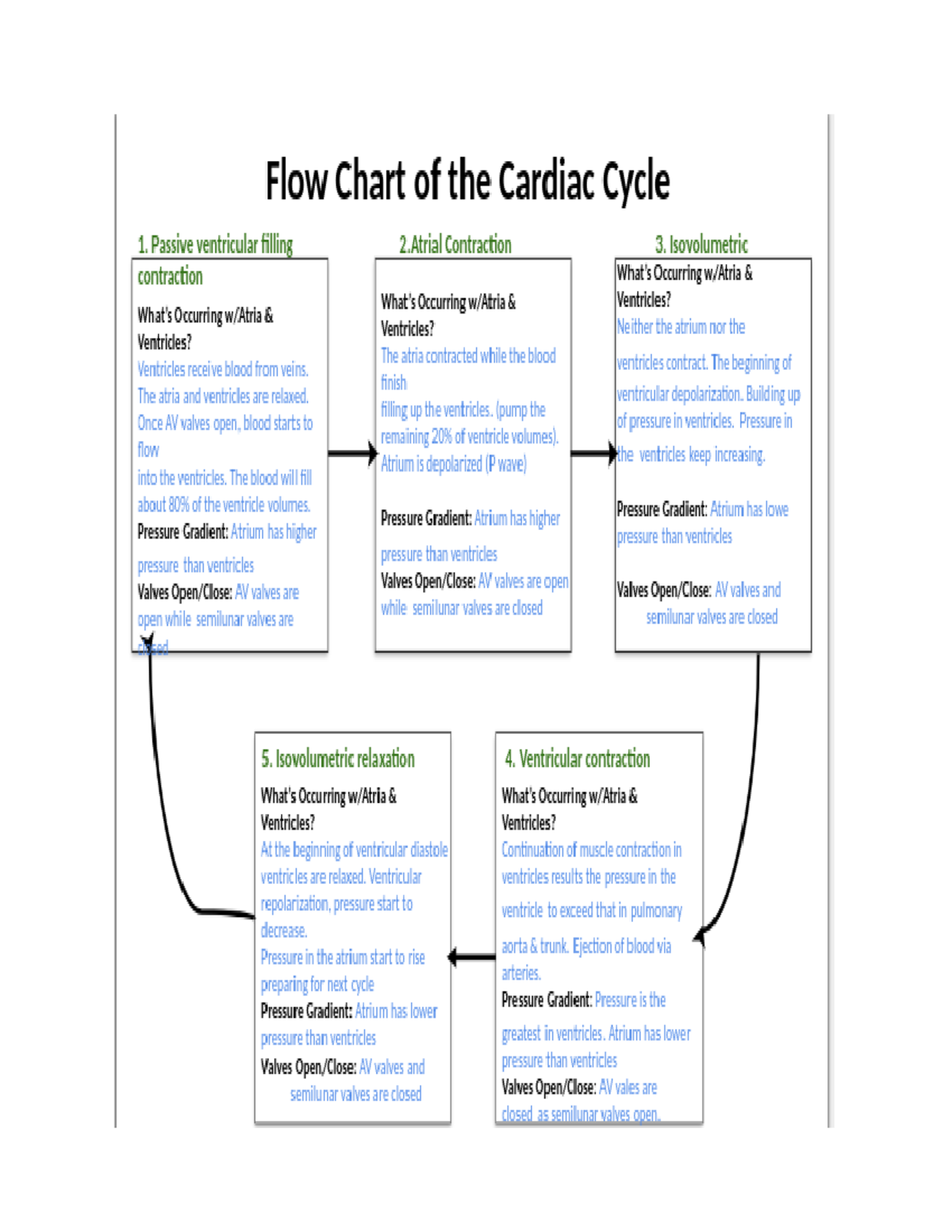 Flow Chart of the Cardiac Cycle: Detailed Overview of Heart Phases ...