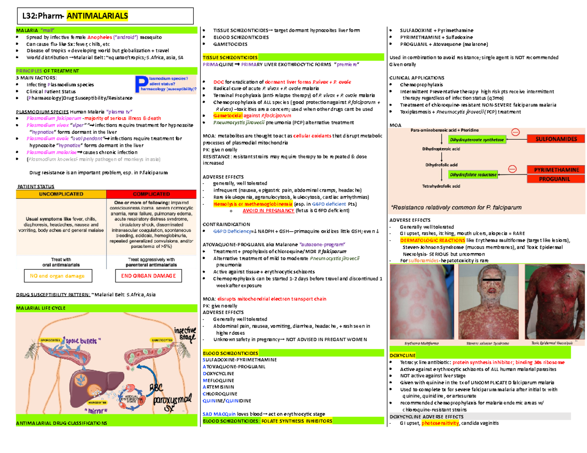 RHS Week 4: Pharmacology Insights on Antimalarial Drugs and Treatments ...