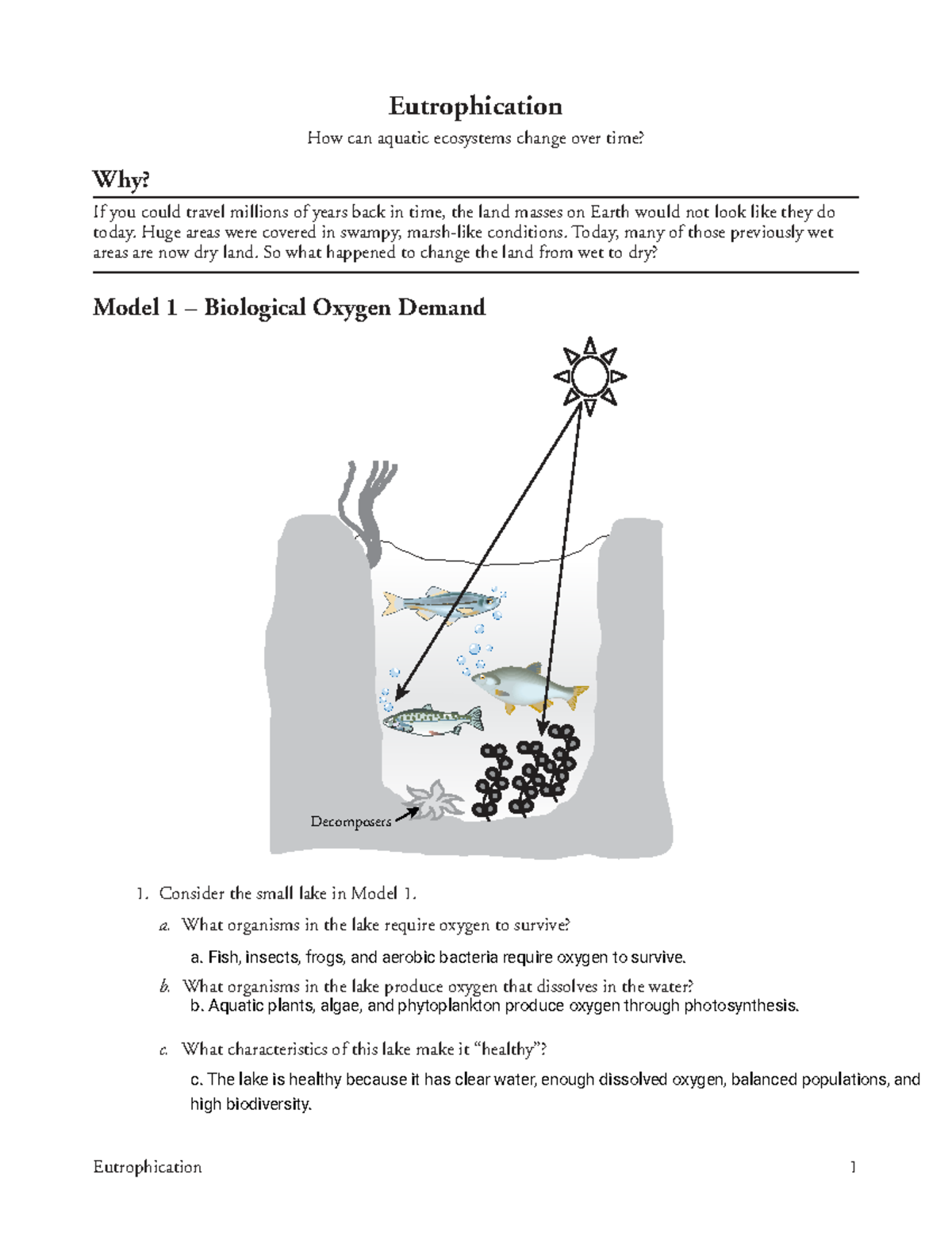 Pogil Eutrophication: Understanding Aquatic Ecosystem Changes - Studocu