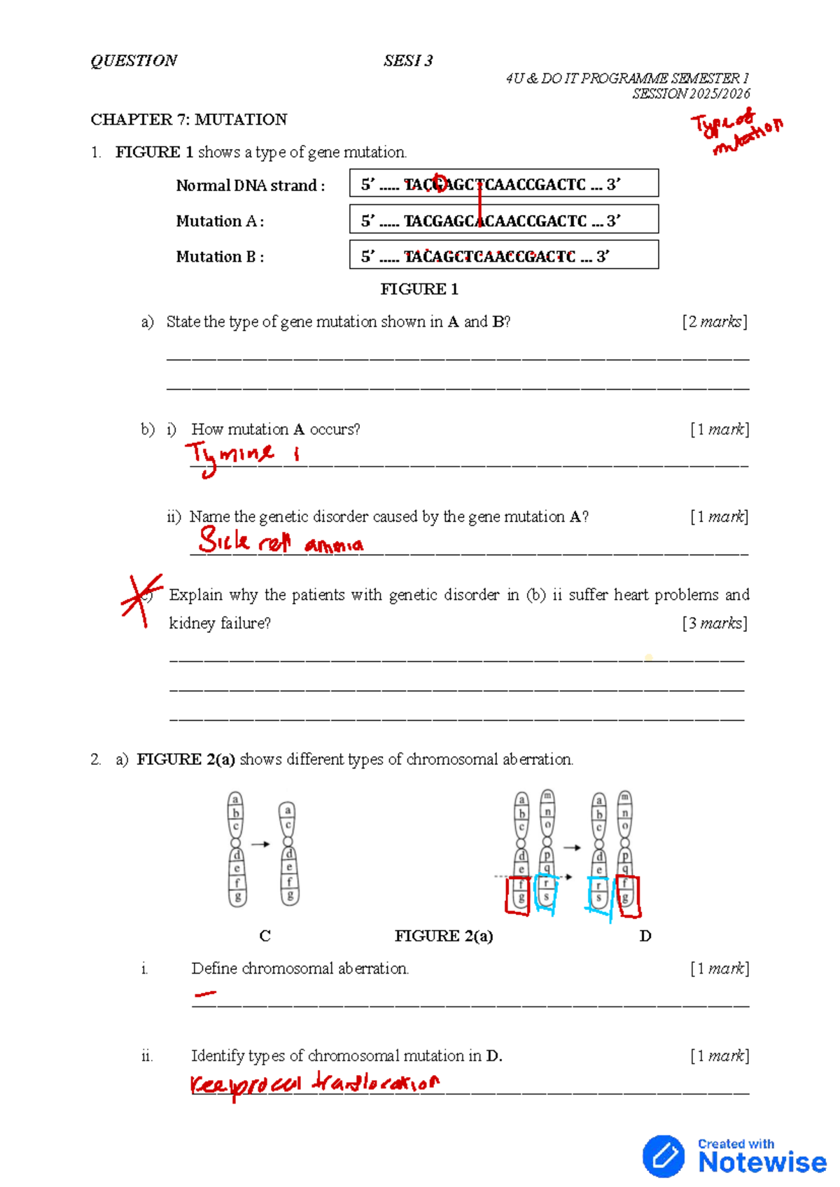 Chapter 7: Mutation - Questions & Answers for 4U Do It Programme ...