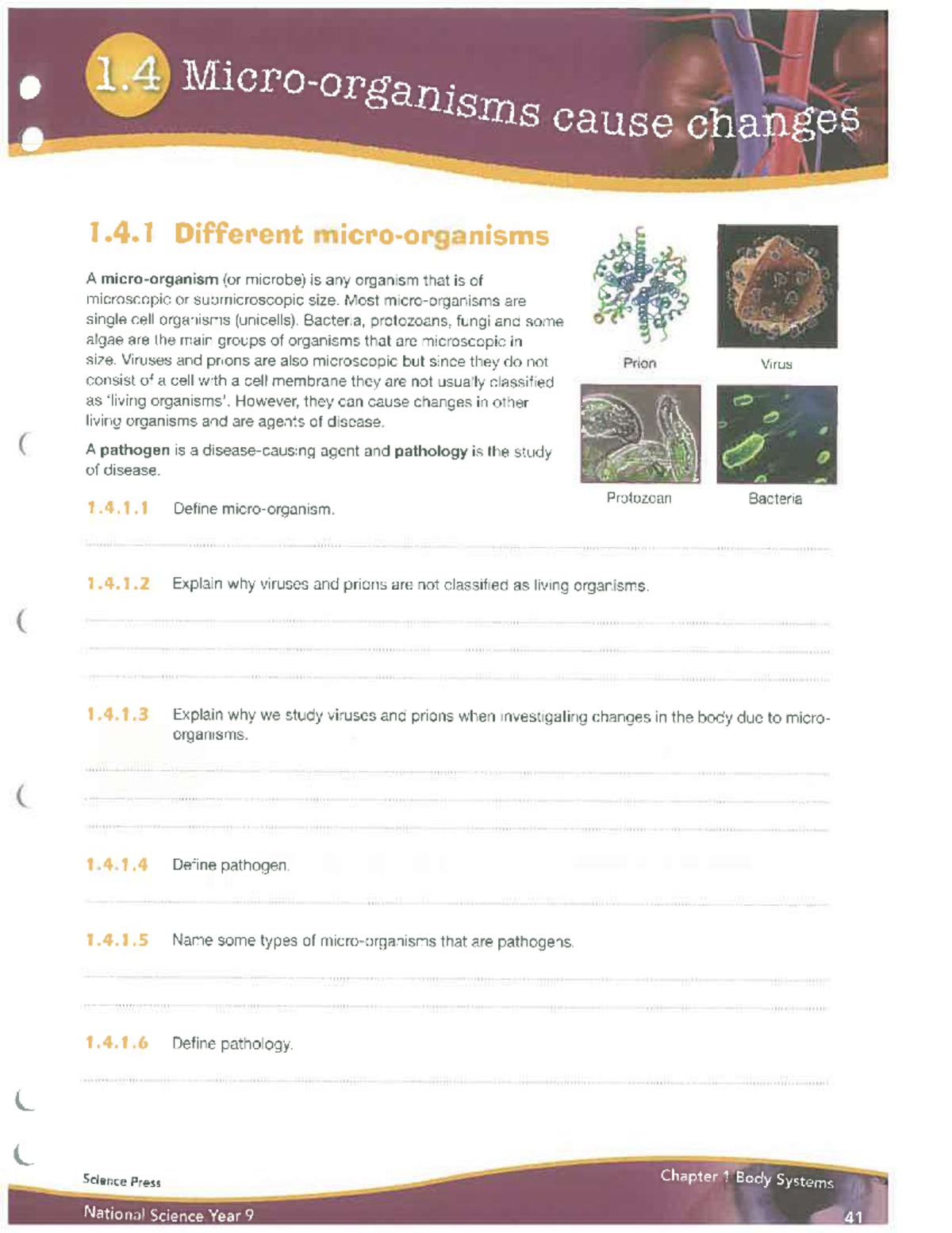 Microorganisms and Pathogens: Year 9 Science Worksheet - Studocu