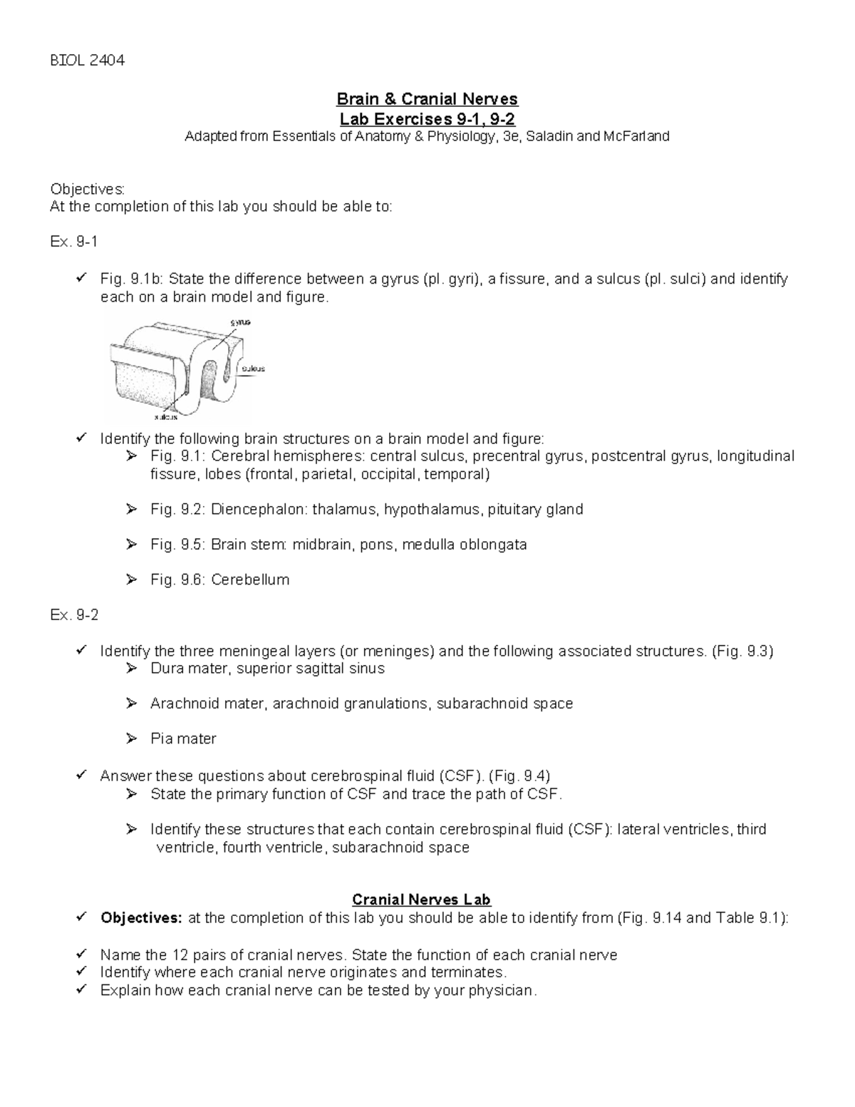 BIOL 2404 Lab: Brain & Cranial Nerves Exercises Overview - Studocu