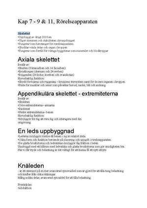 Örats anatomi - ÖRATS ANATOMI Örat kan delas upp i tre delar: x Yttre x ...