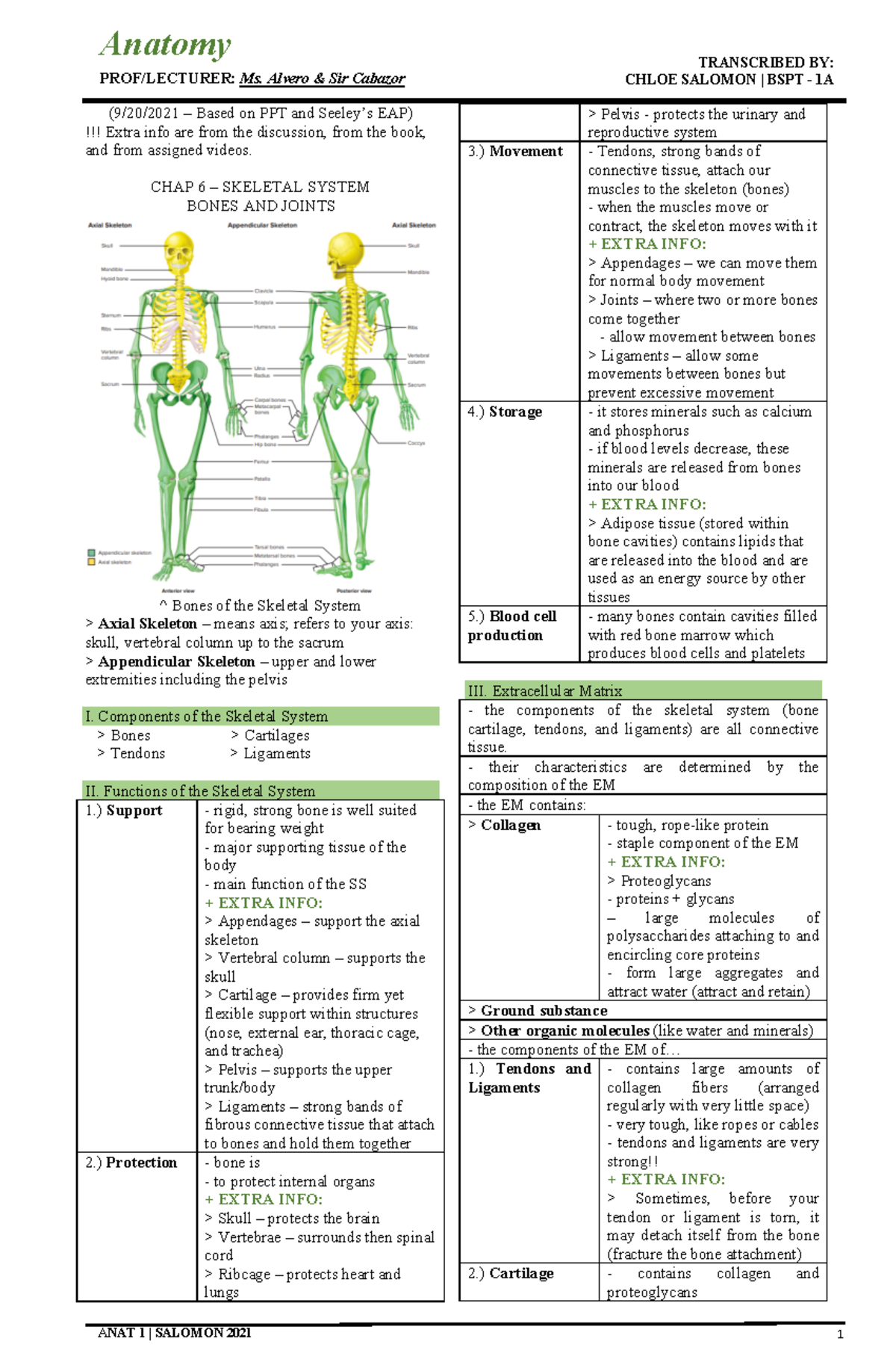 Anatomy 101: Chapter 6 - The Skeletal System Overview - Studocu