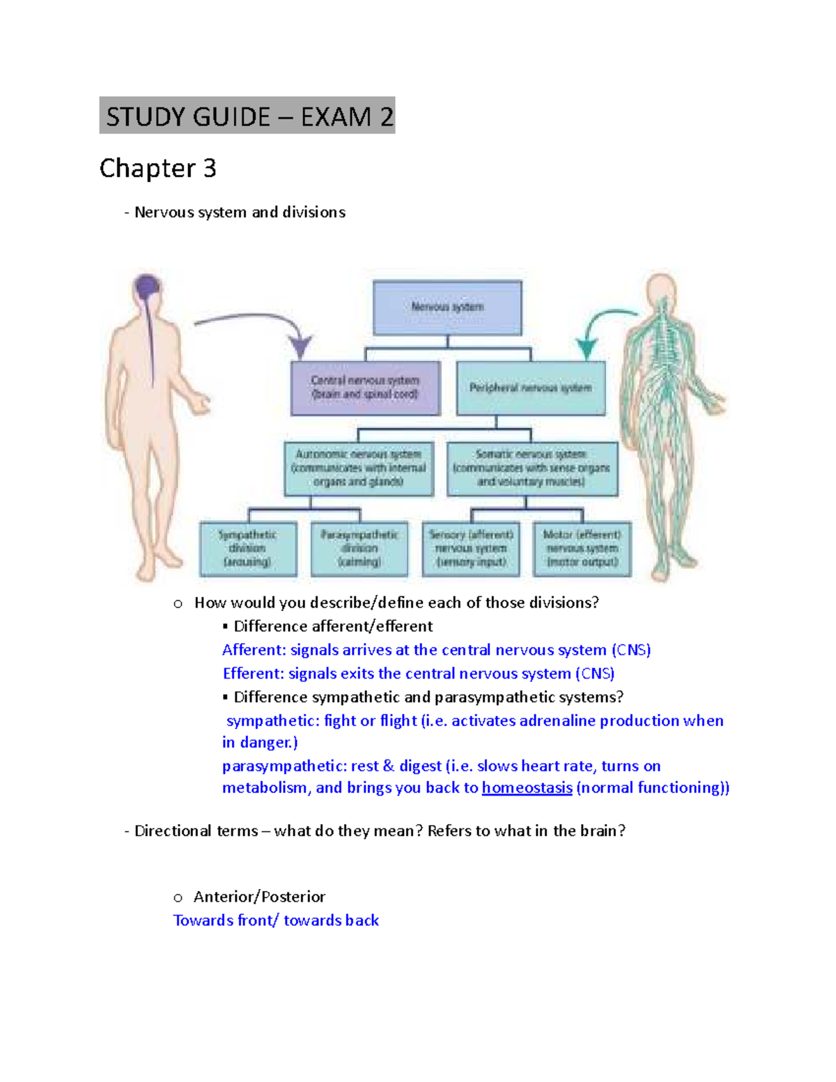 PSYC 2220 Study Guide: Exam 2 - Neuroscience Concepts & Functions - Studocu