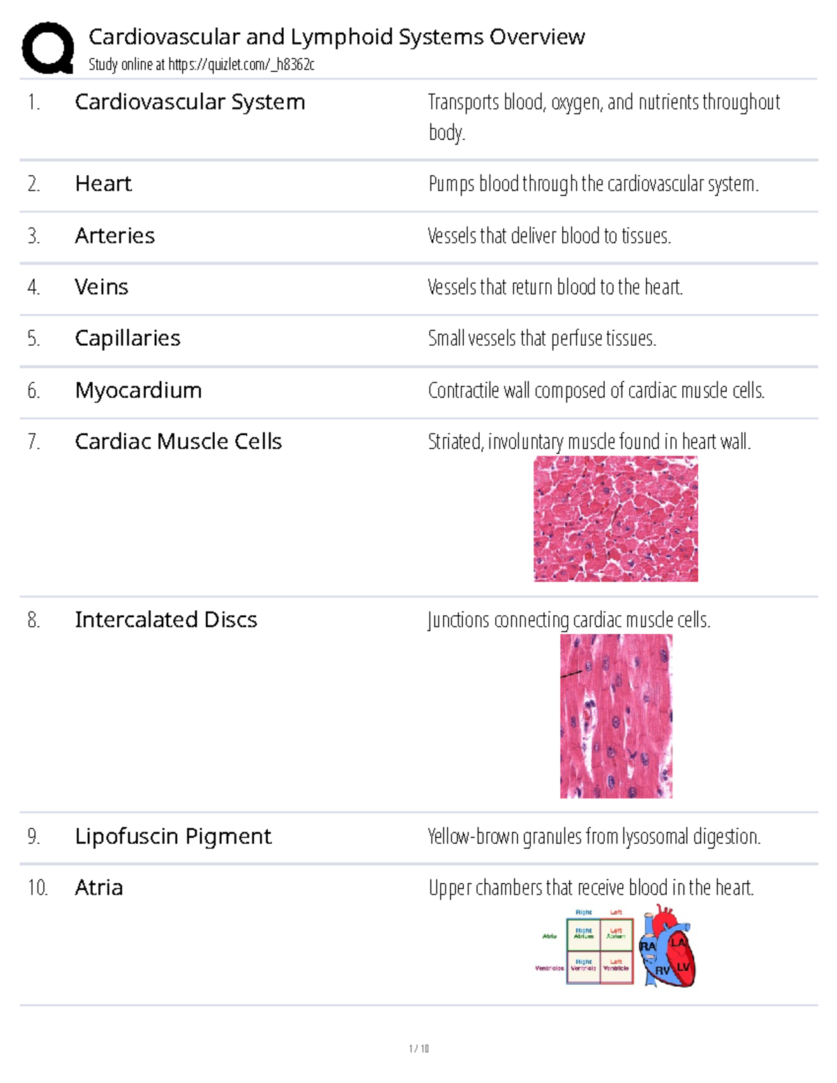 Cardiovascular and Lymphoid Systems Overview Study Guide (BIO 101 ...
