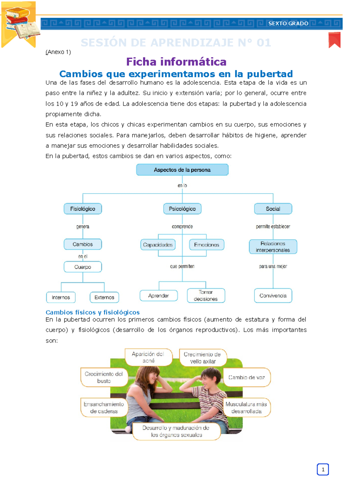 Fichas de Aprendizaje: Cambios en la Pubertad y Hábitos Saludables 6 ...