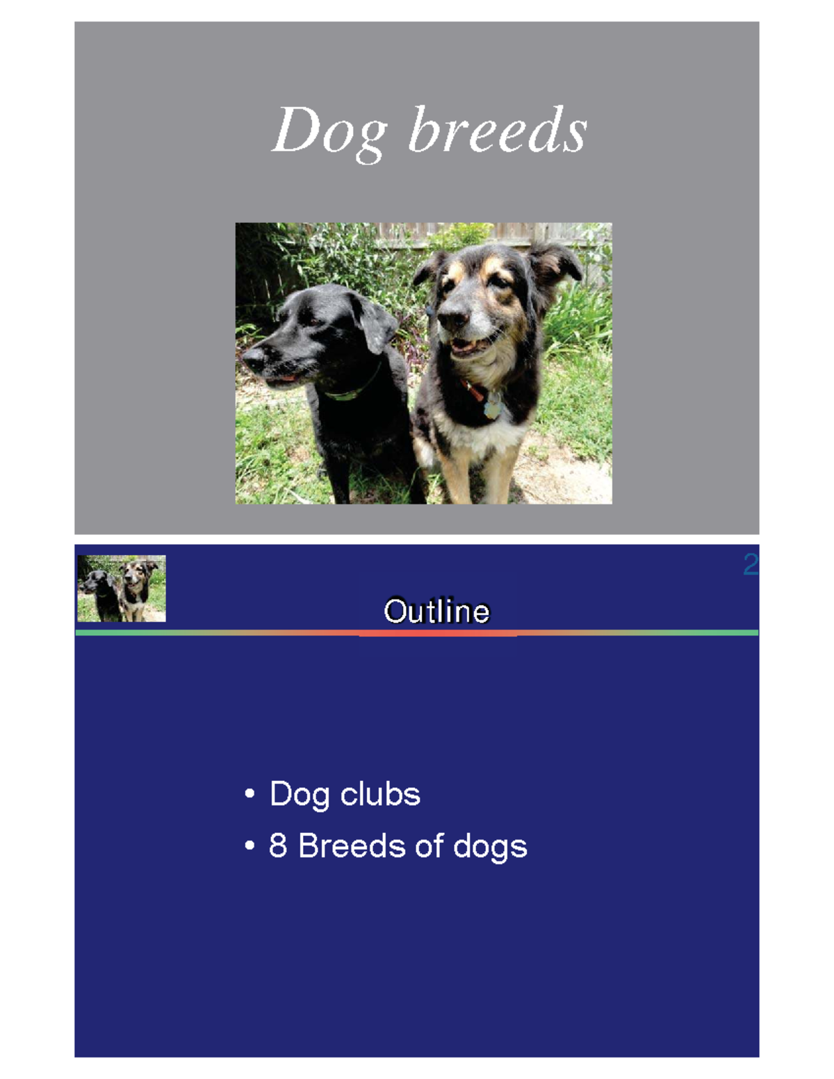 Comprehensive Guide to Dog Breeds & AKC Club Standards (Course Code ...