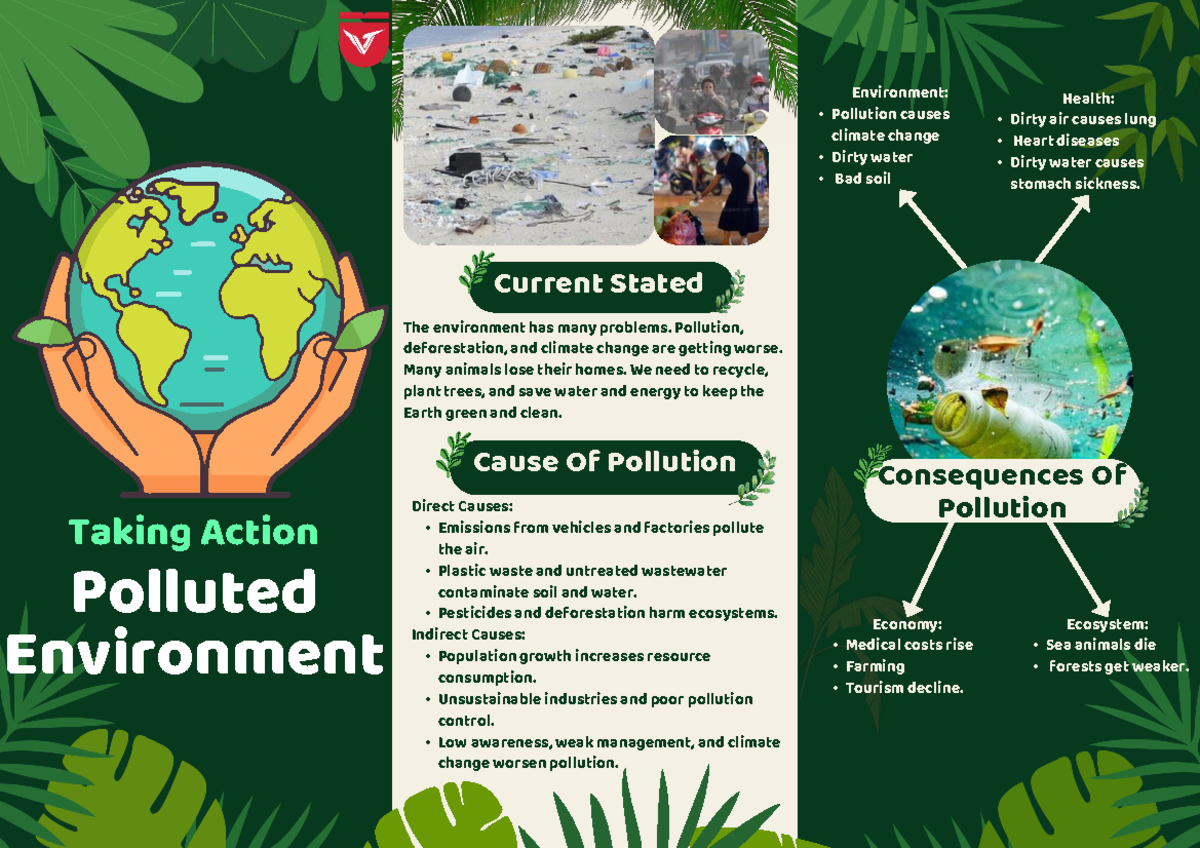 ENV 101: Brochure on Pollution Causes & Solutions - Studocu