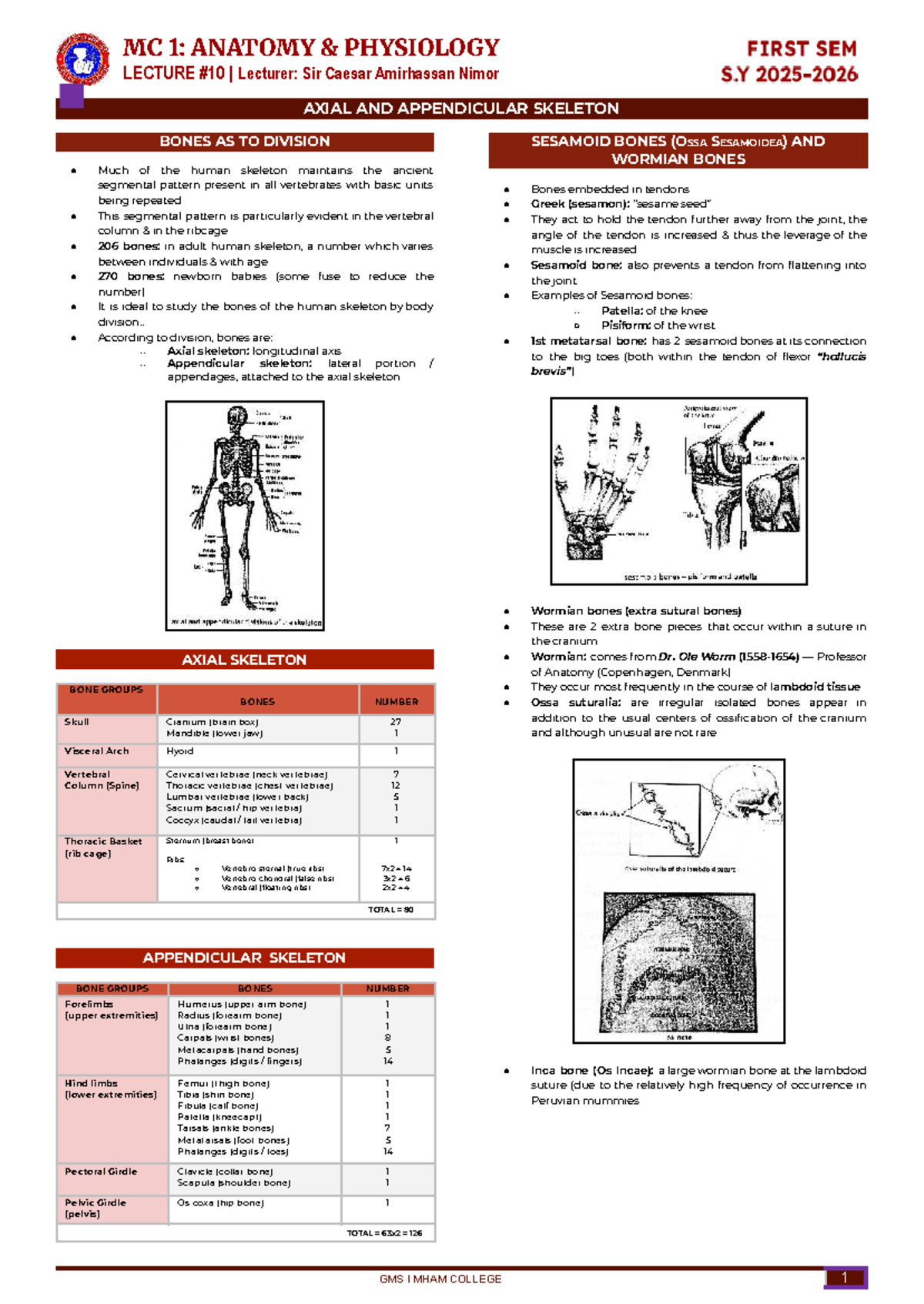 MC 1: Anatomy Physiology Lecture - Axial & Appendicular Skeleton ...
