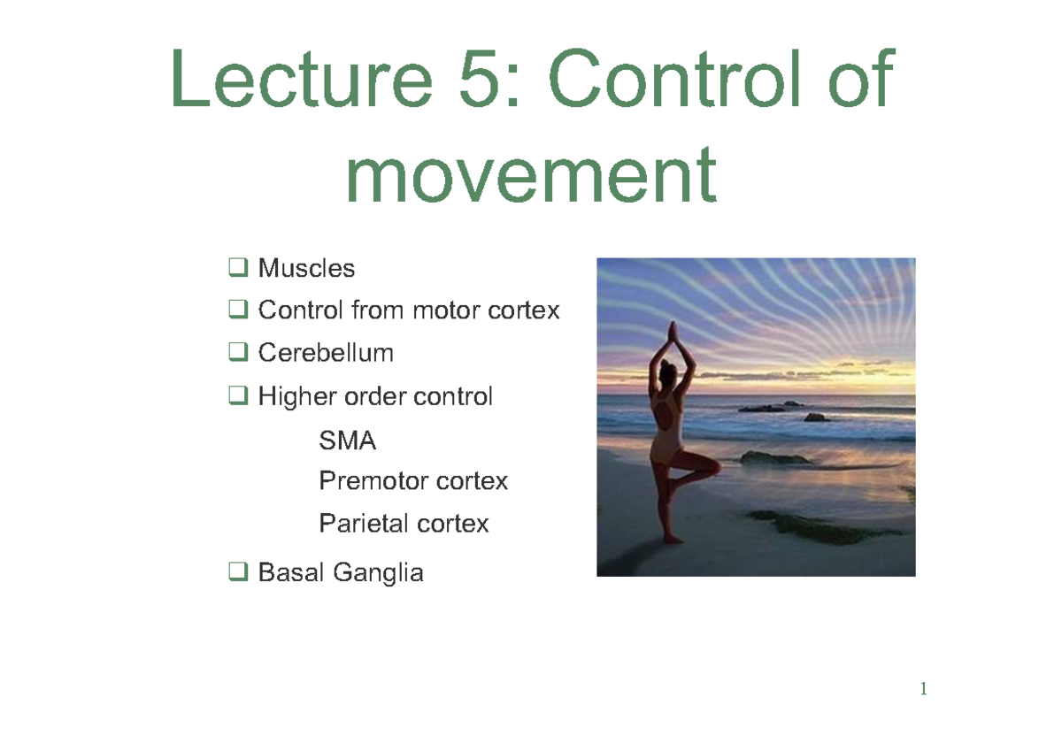 Lecture 5: Control of Movement - Muscles & Motor Cortex Insights ...