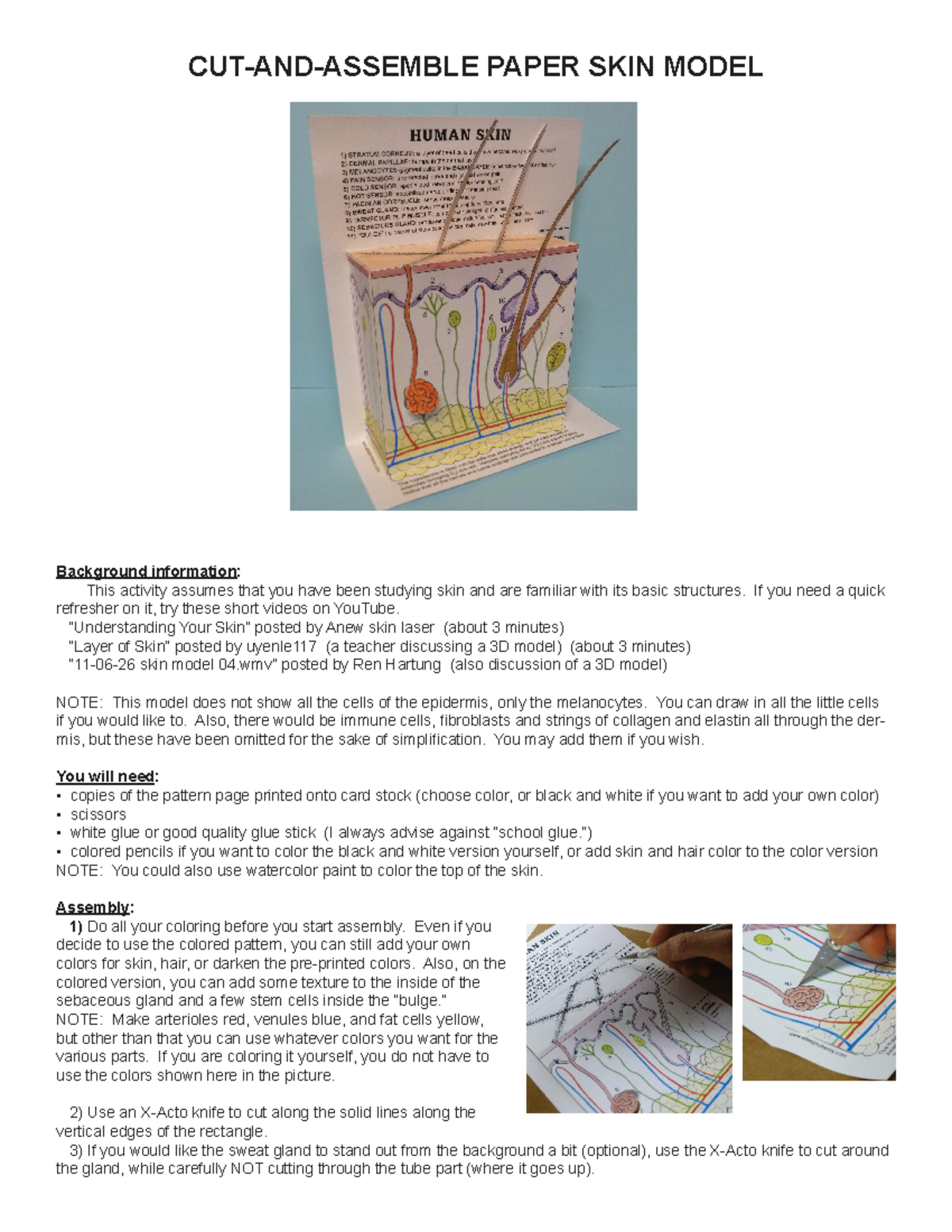 CUT-AND-ASSEMBLE PAPER SKIN MODEL: A Comprehensive Guide - Studocu