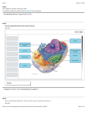 BIO 234 Anatomical regions Labeling - BIO 234 - BIO 234 A&P I ...