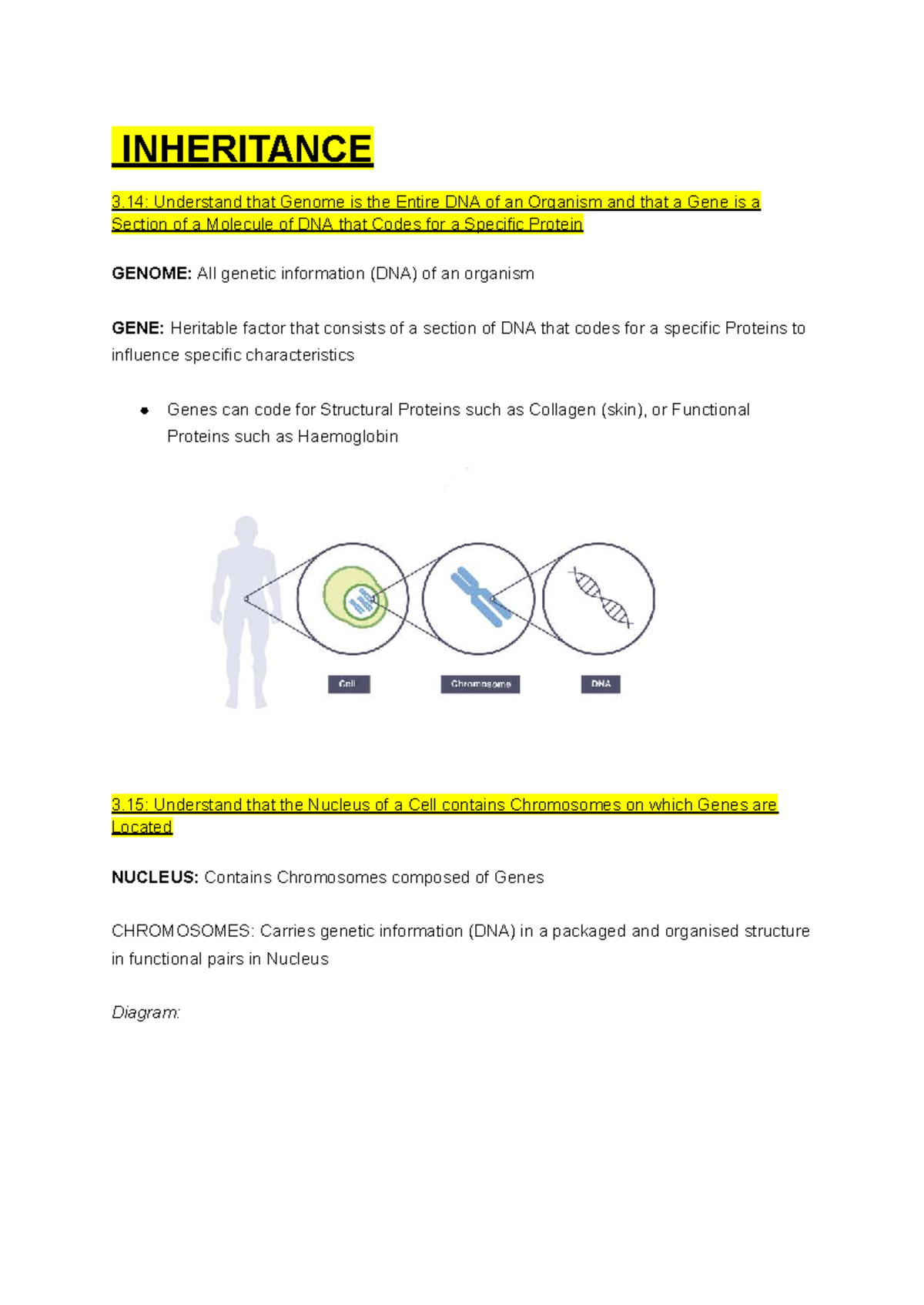 Biology GCSE Revision: Inheritance and Genetic Principles - Studocu