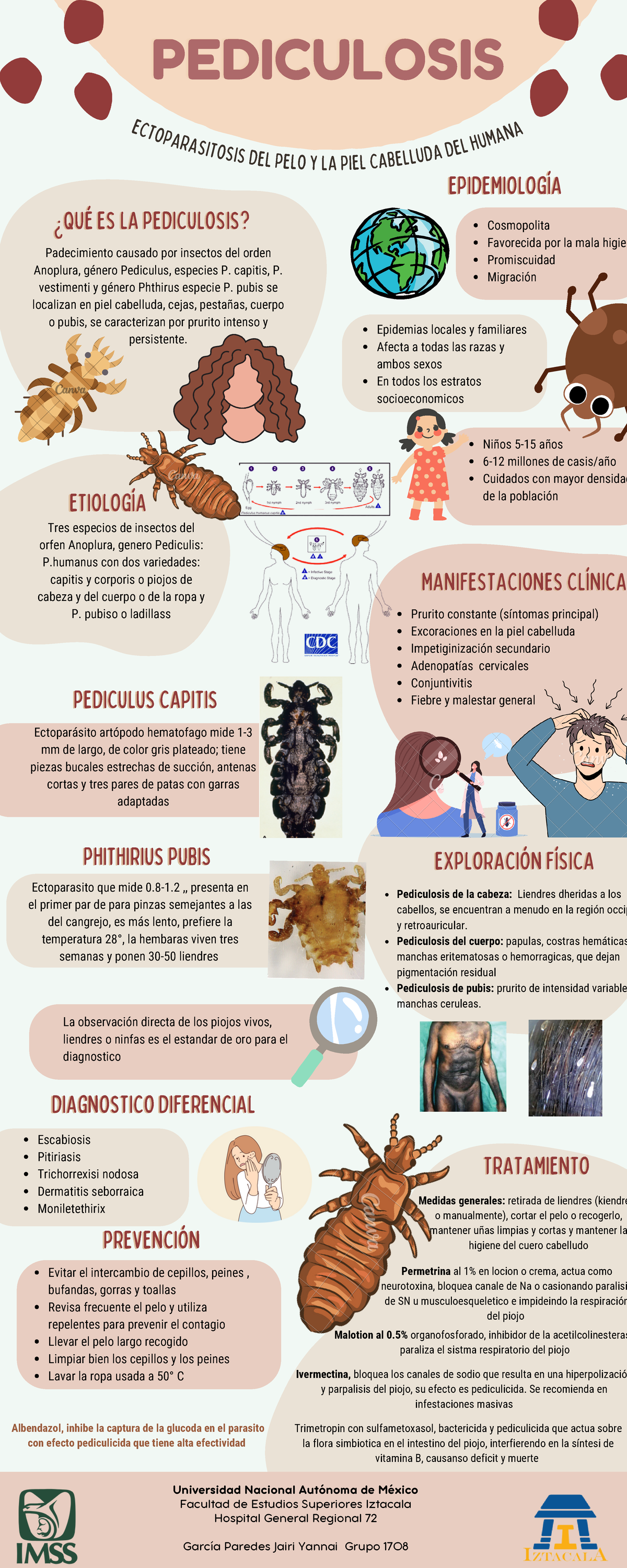 Estudio sobre la Pediculosis: Diagnóstico y Tratamiento Eficaz - Studocu