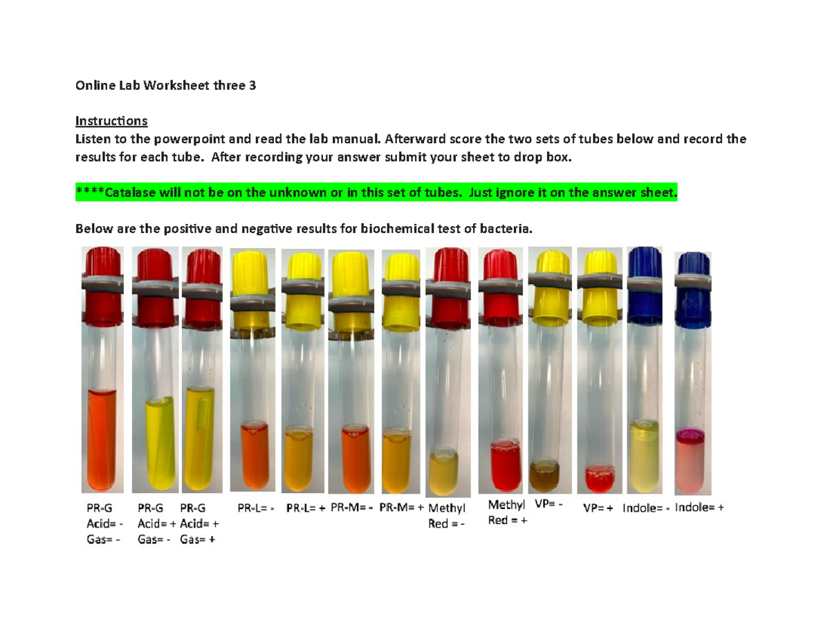 Biochemical test worksheet - Online Lab Worksheet three 3 Instructions ...