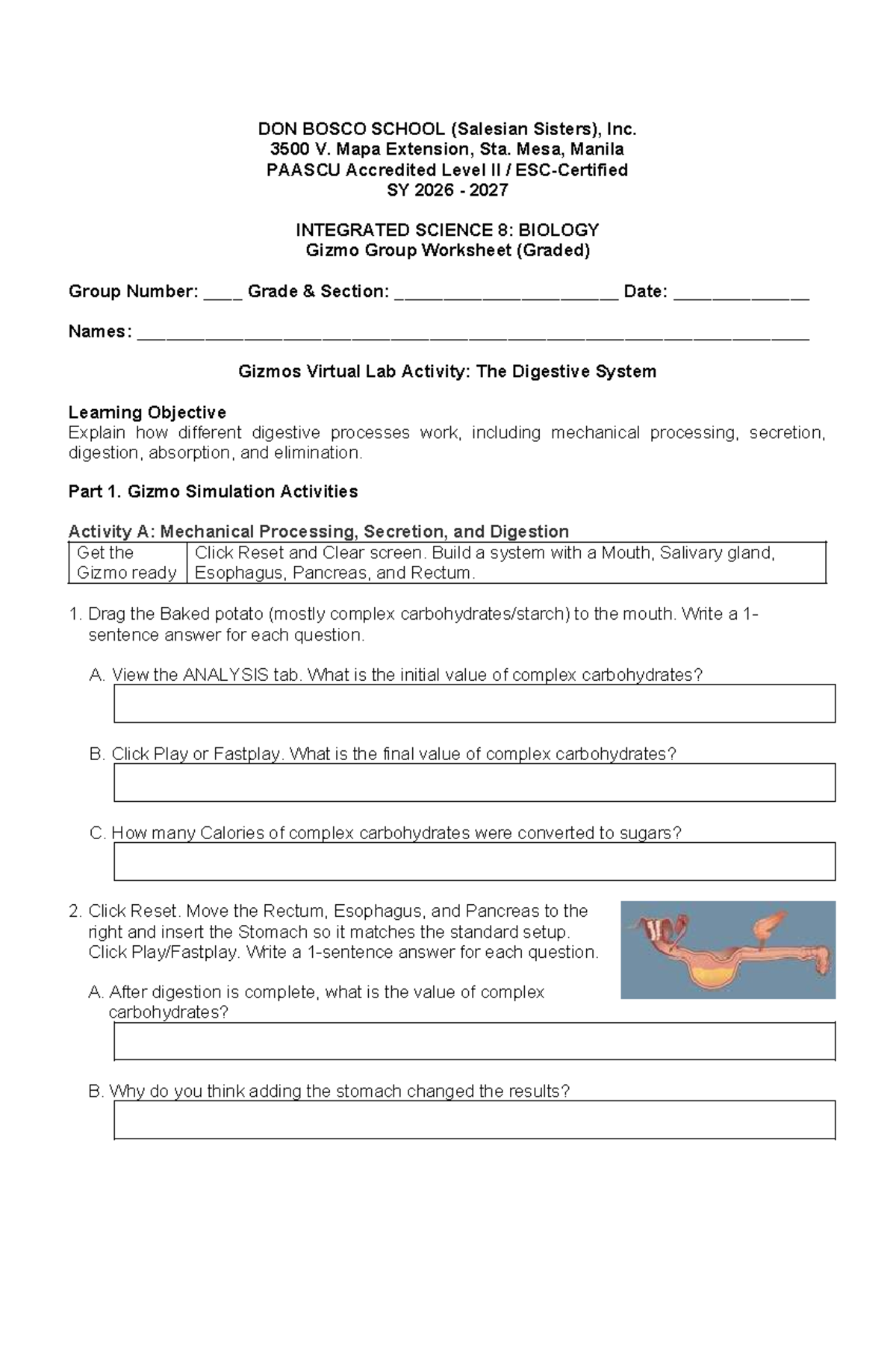 Grade 8 Integrated Science 8: Biology Digestive System Gizmo Worksheet ...