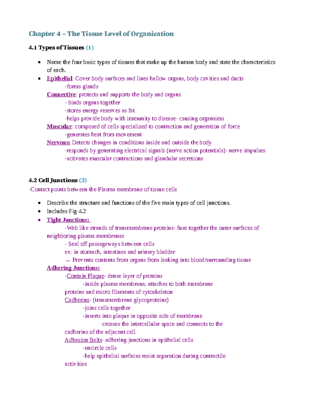 PHYL 141 - Chapter 4 Tissues: Key Study Notes and Overview - Studocu