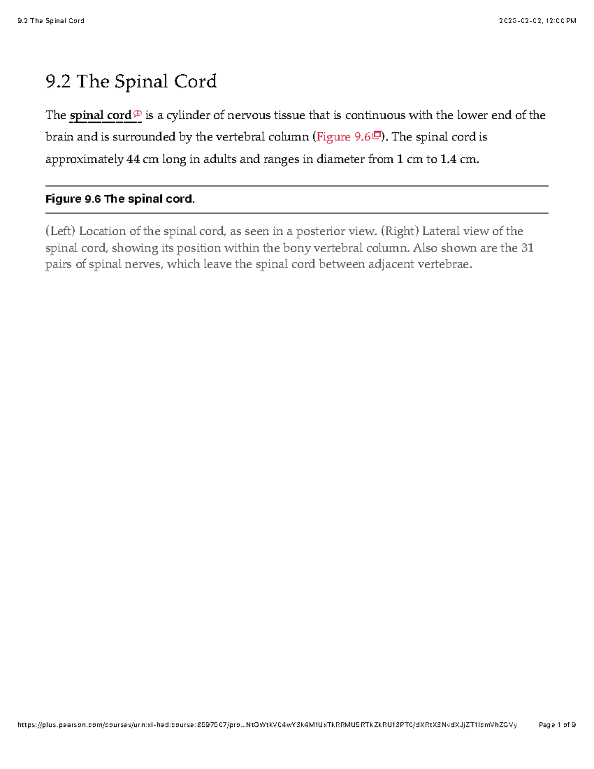 9.2 The Spinal Cord - Lecture Notes - Studocu