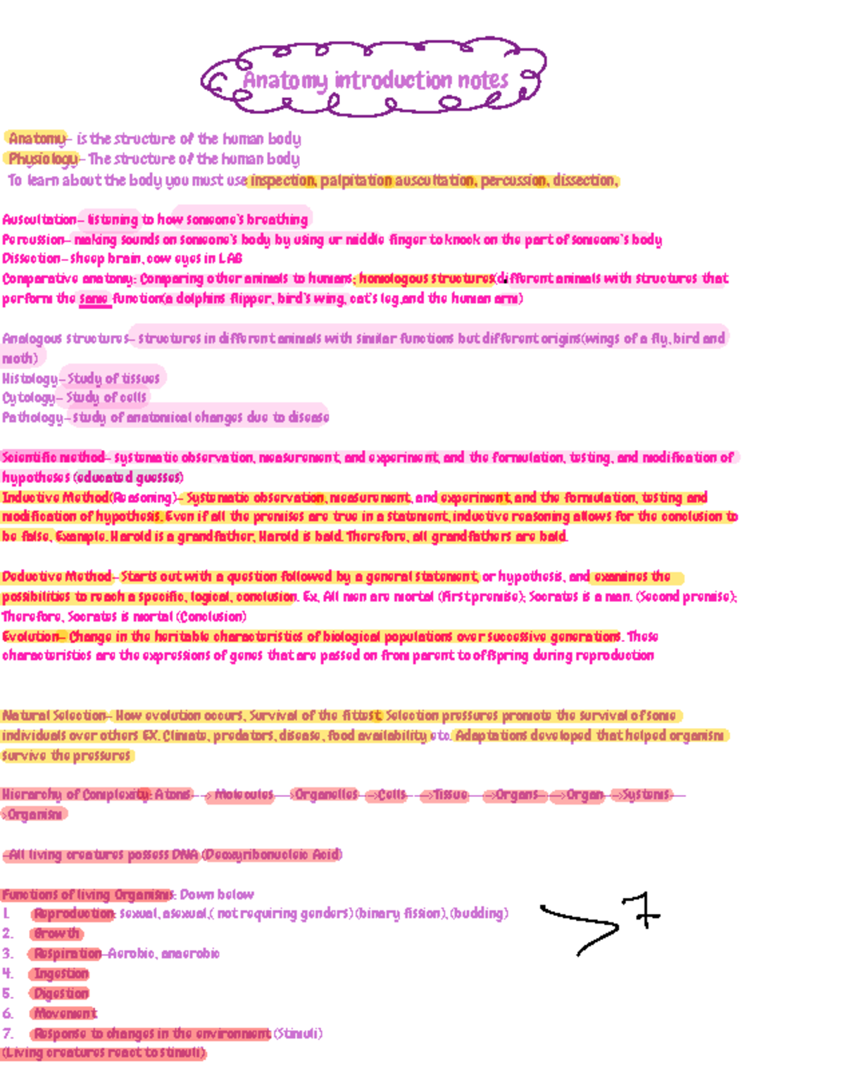 Bio 170 Exam 1 Notes: Anatomy Introduction & Key Concepts - Studocu