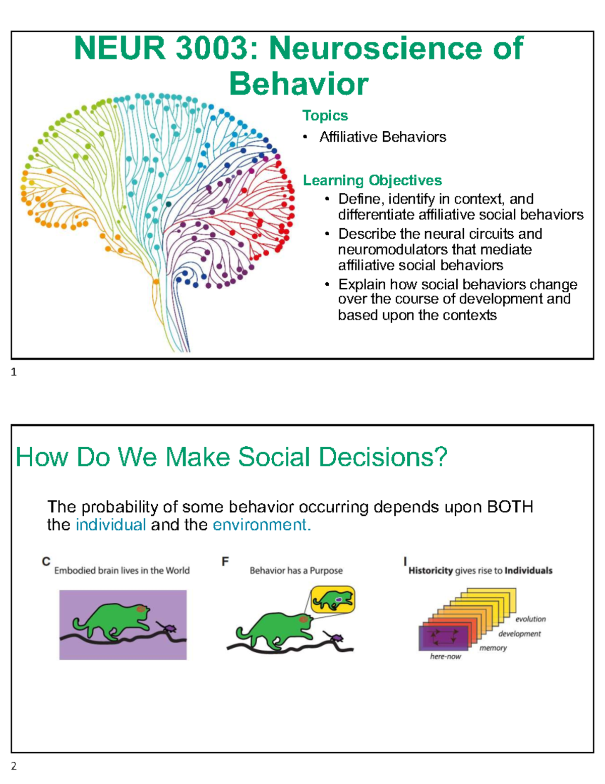 NEUR3003 Midterm: Neuroscience of Behavior and Affiliative Behaviors ...