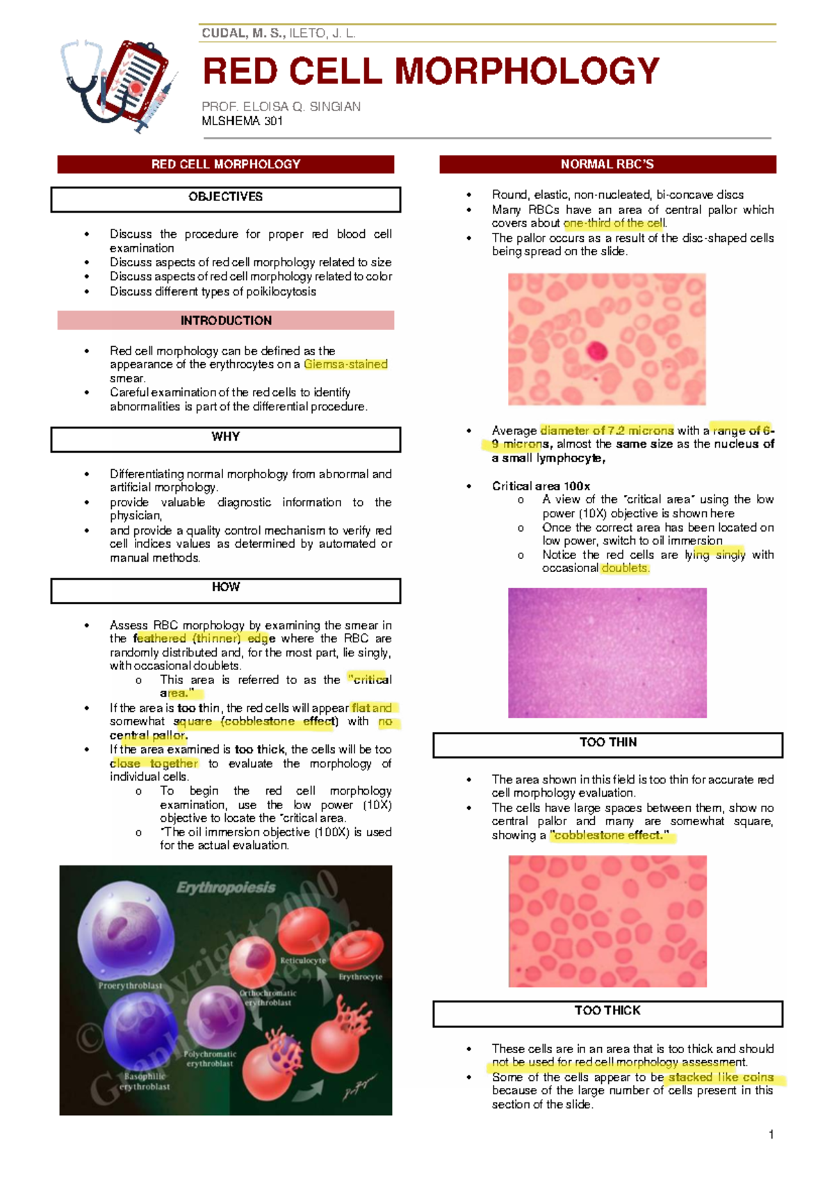 HEMA 301 Lecture Notes: Normal Red Cell Morphology Analysis - Studocu