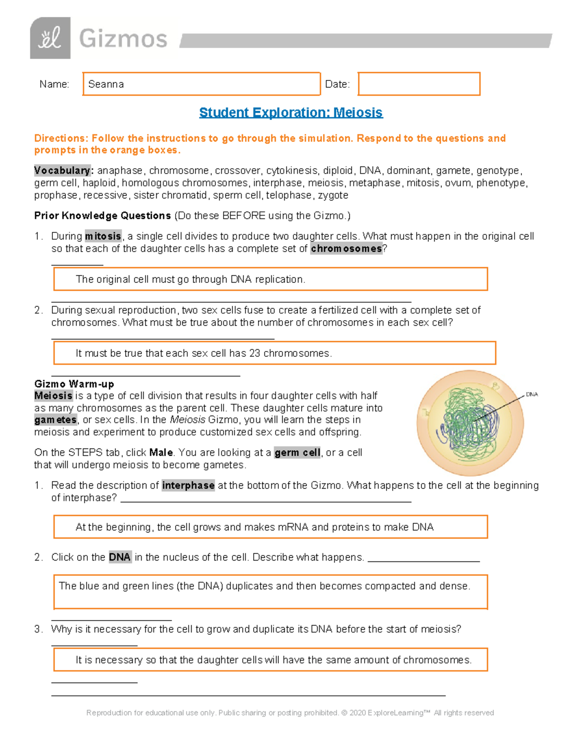 Gizmos Meiosis Answer Key - Verified Academic Solutions