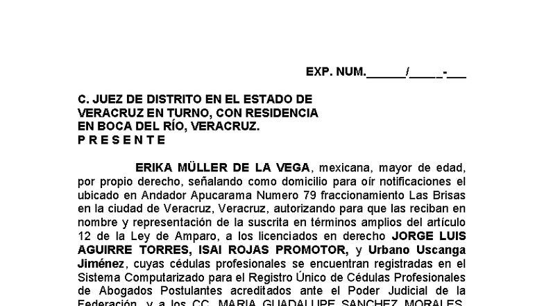 Amparo Indirecto contra Corte de Agua - Erika Müller (Exp. C) - Document Preview