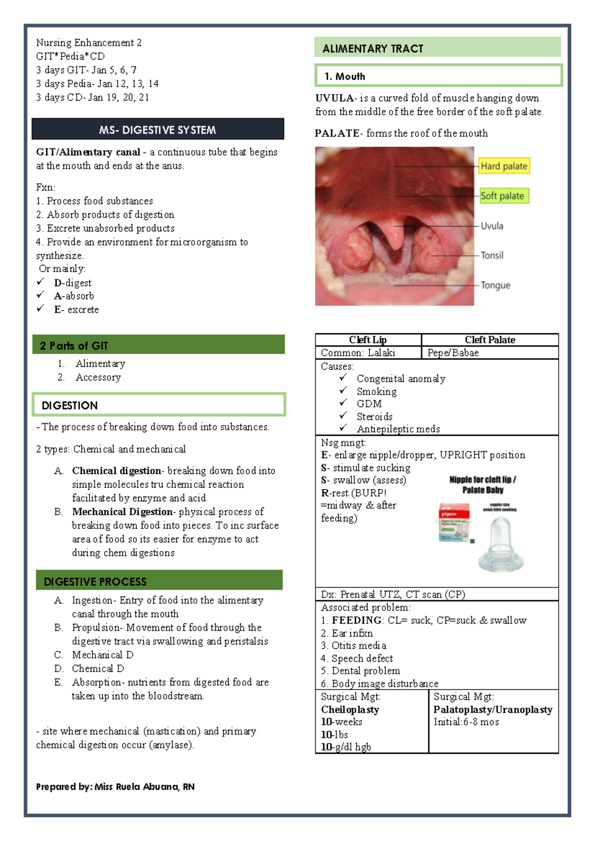 Nursing Enhancement 2: TPN Notes and Digestive System Overview - Studocu