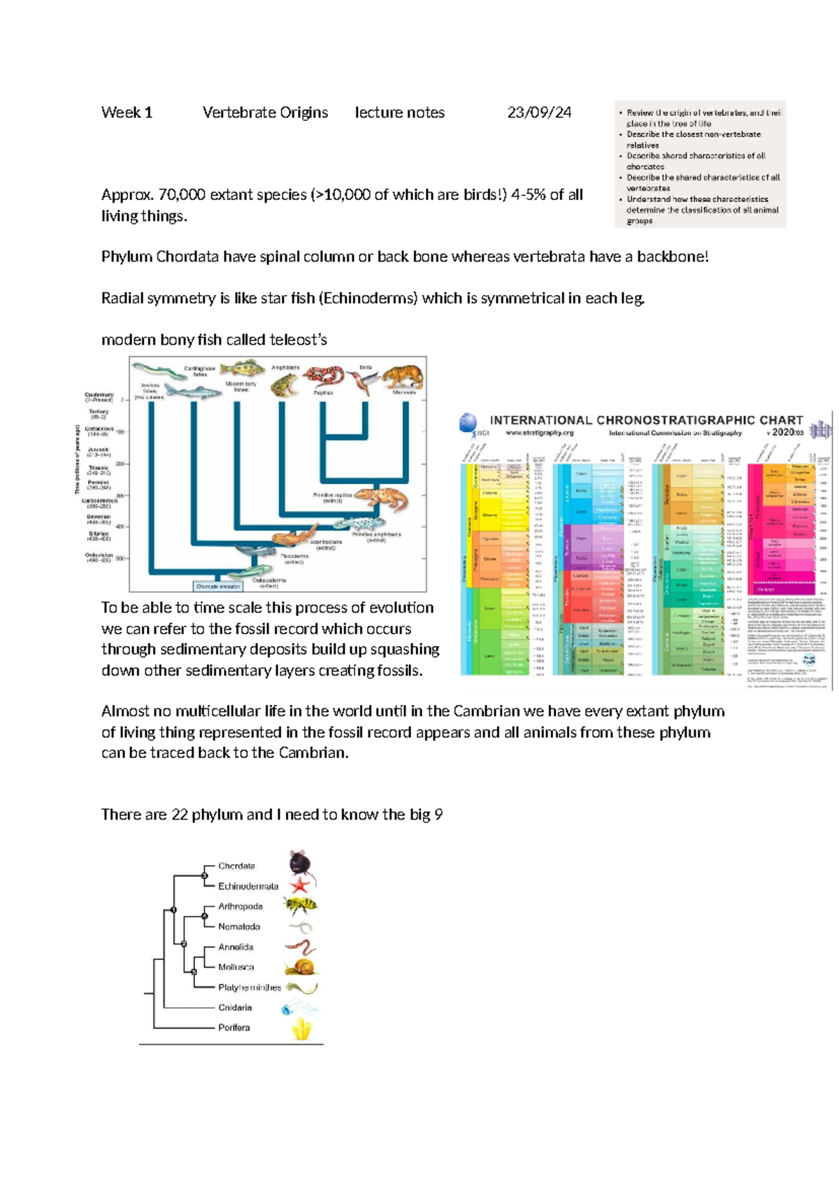 Week 1 Lecture Notes: Vertebrate Origins and Evolution - Studocu