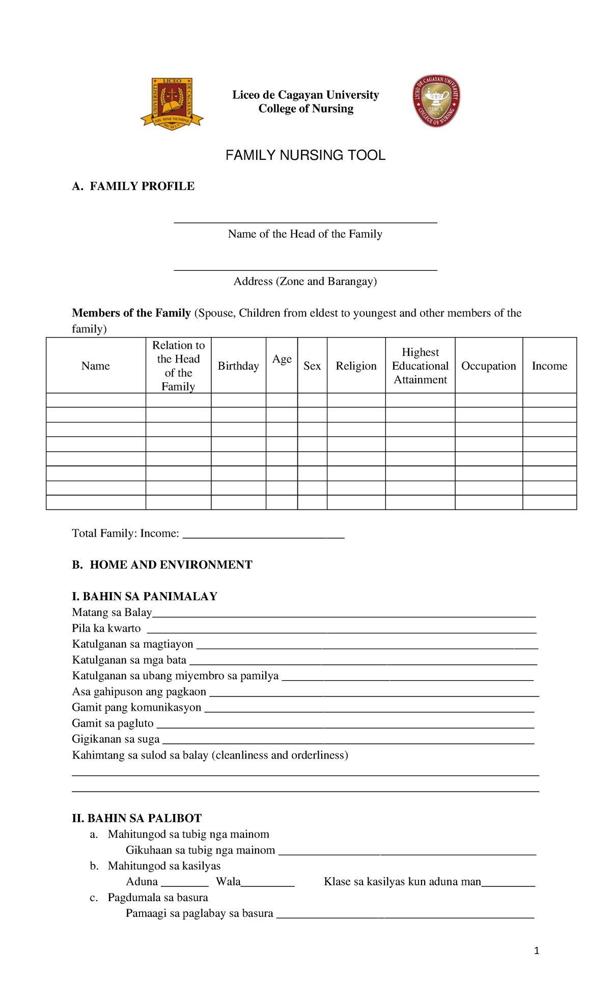 Family Nursing Tool A: Family Profile & Health Assessment (CHN) - Studocu