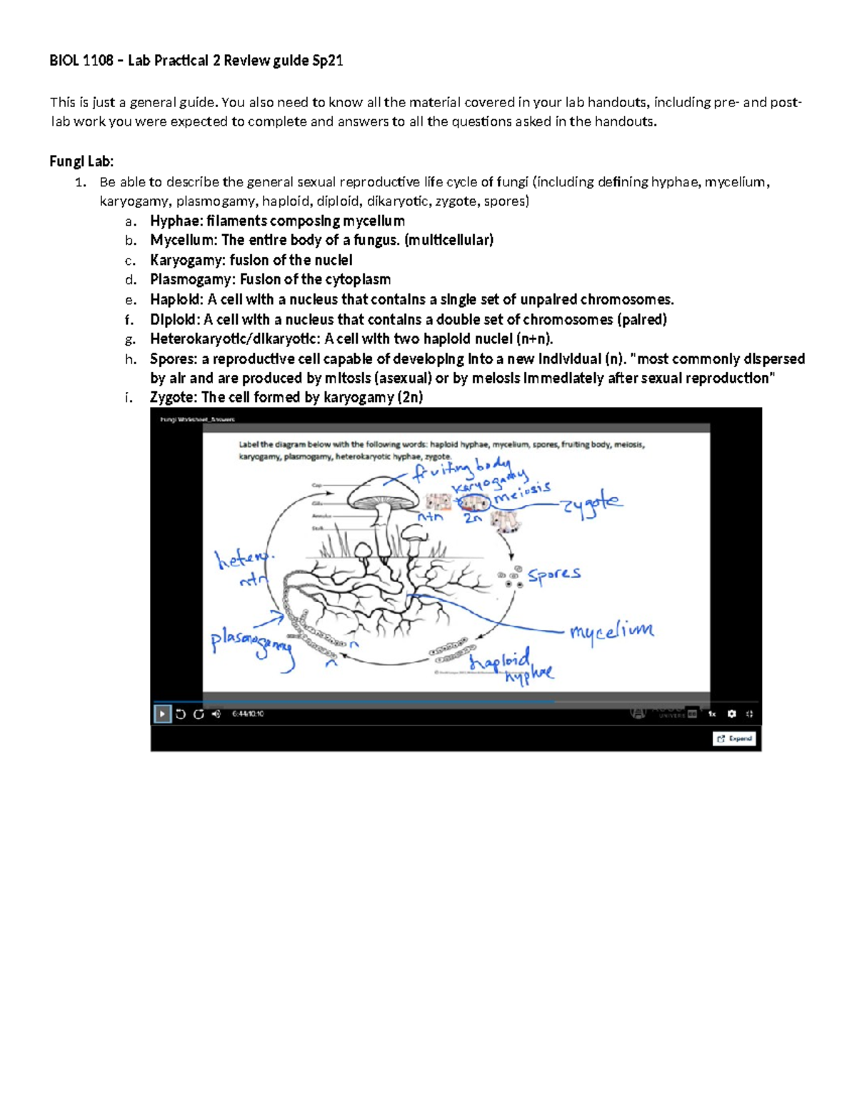 BIOL 1108 Lab Practical II Review Guide Spring 2021 - Studocu