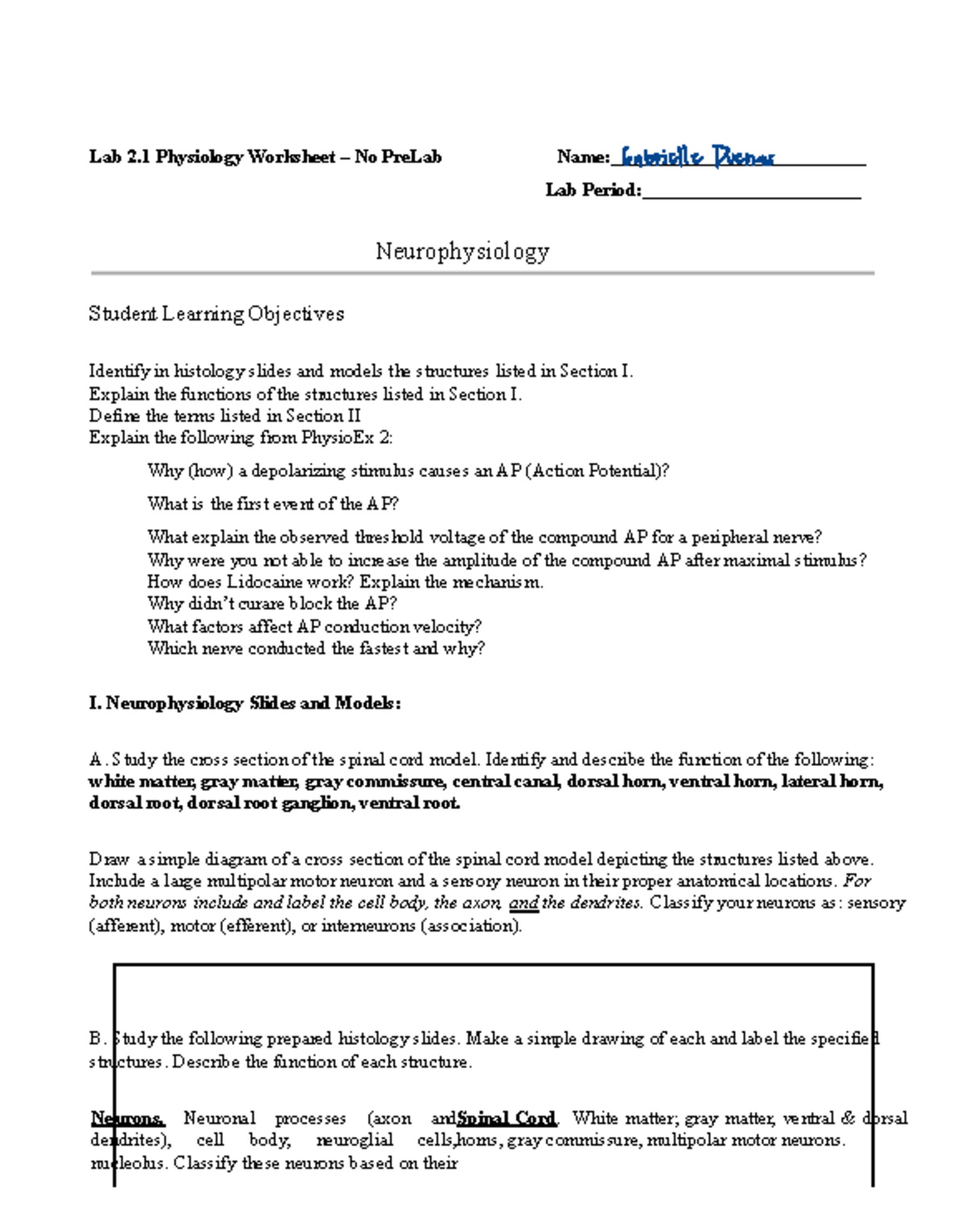 Lab 2.1 Neurophysiology Worksheet on Action Potentials and EEG Analysis ...
