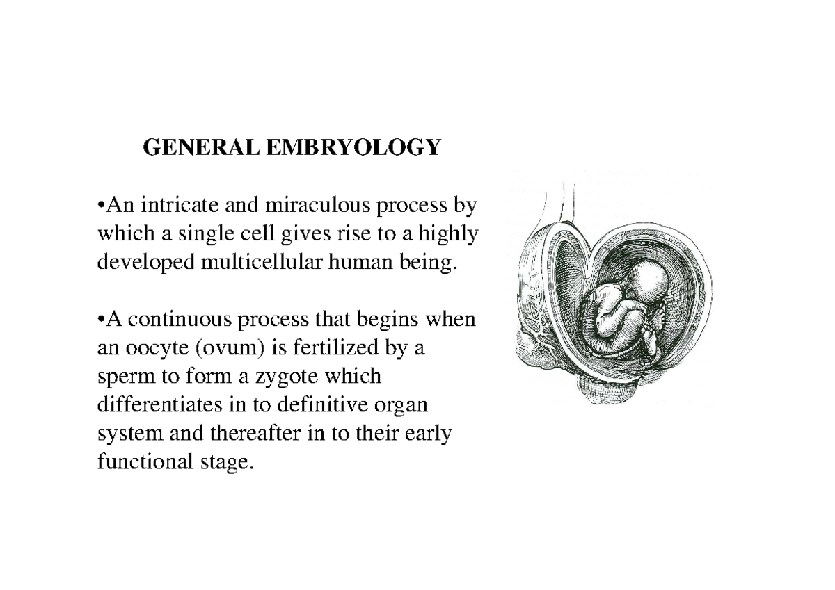General Embryology (BIO 101): From Zygote to Gametogenesis - Studocu